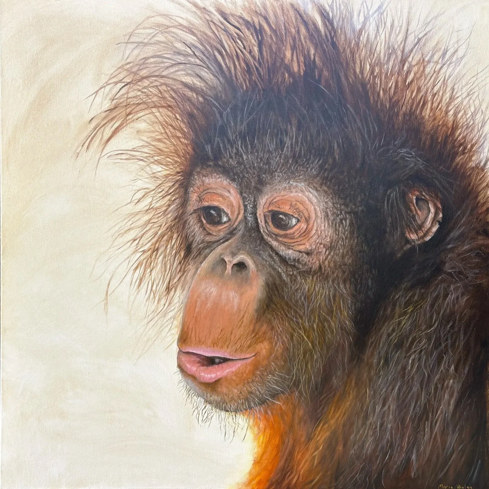 Close-up of a drawing of a monkey's face with detailed fur, expressive eyes, and a gentle expression on its face.