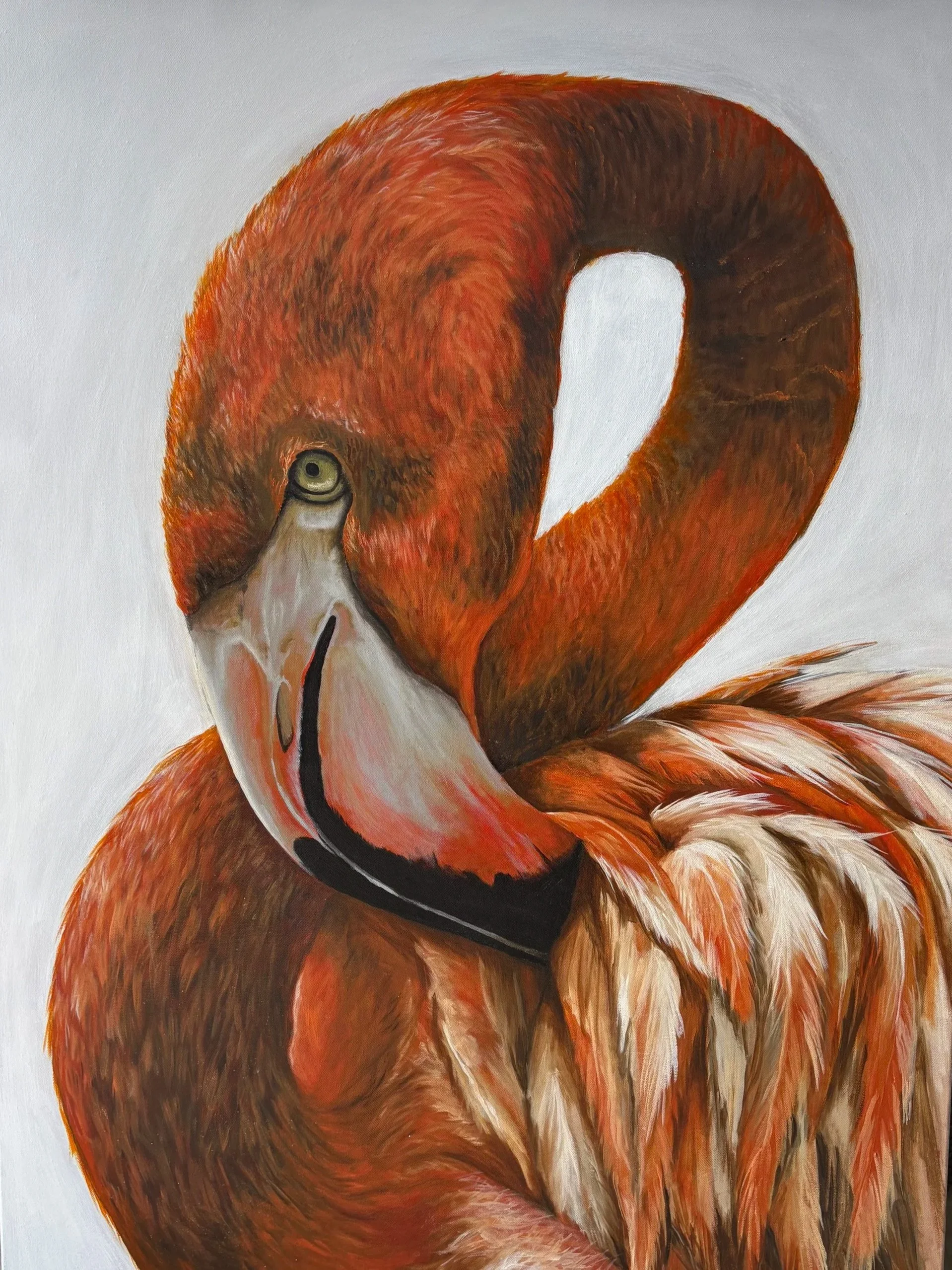 Close-up painting of a flamingo with a curved neck, displaying vibrant pink and orange feathers, against a white background.