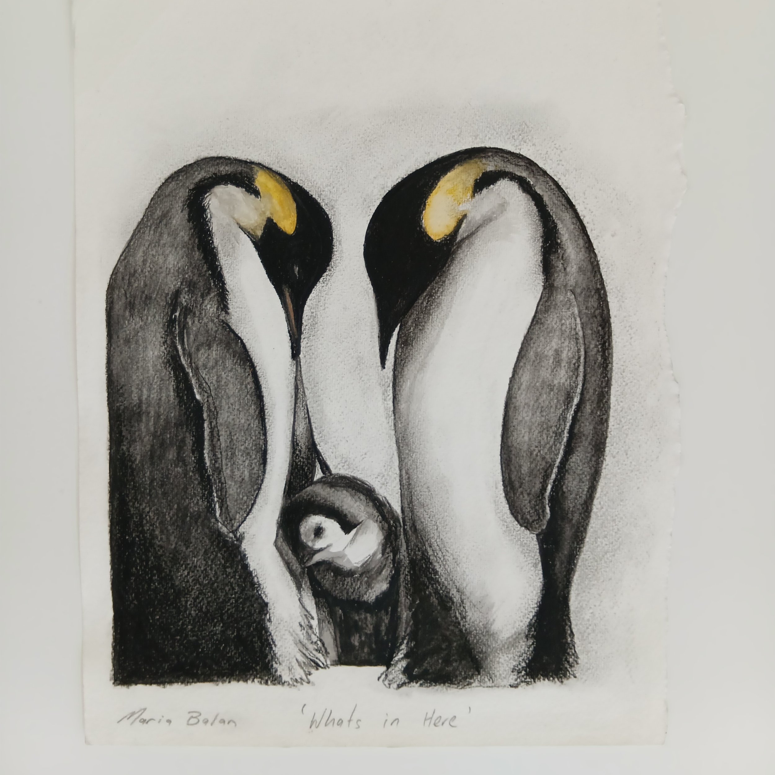 Original Charcoal Drawing-Whats in Here