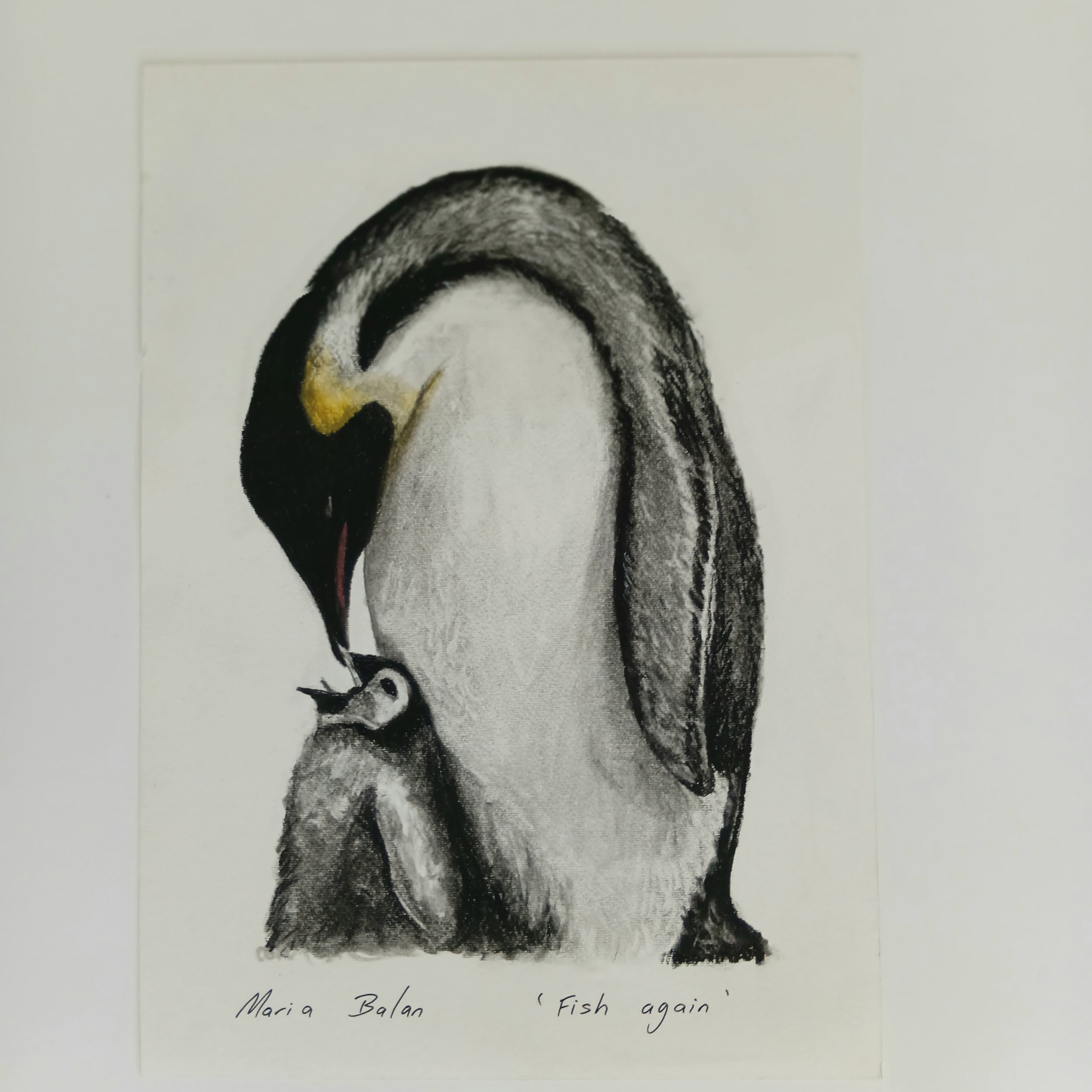 Original Charcoal Drawing -Fish Again