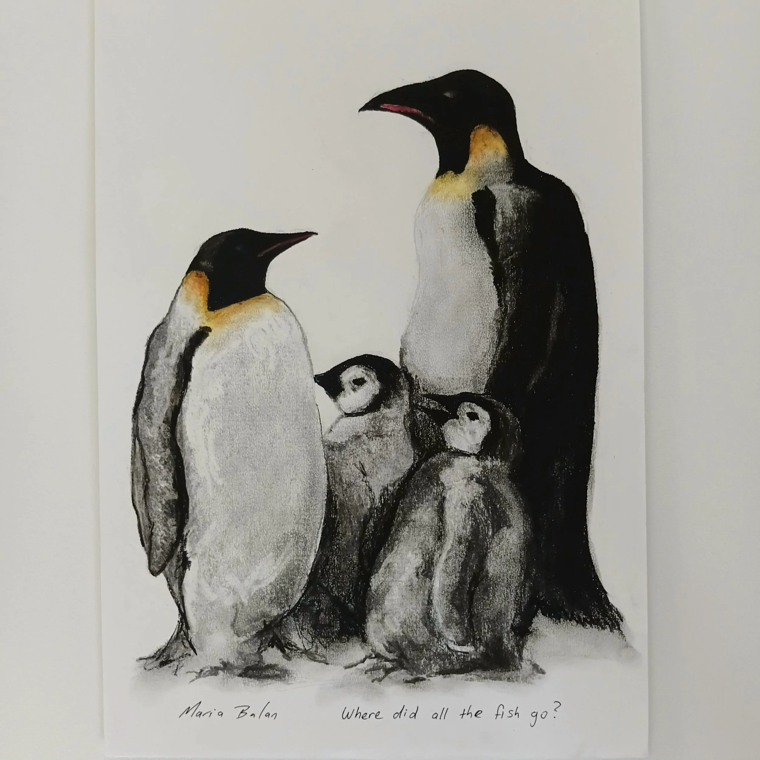 Original Charcoal Drawing -Where did all the fish go ?