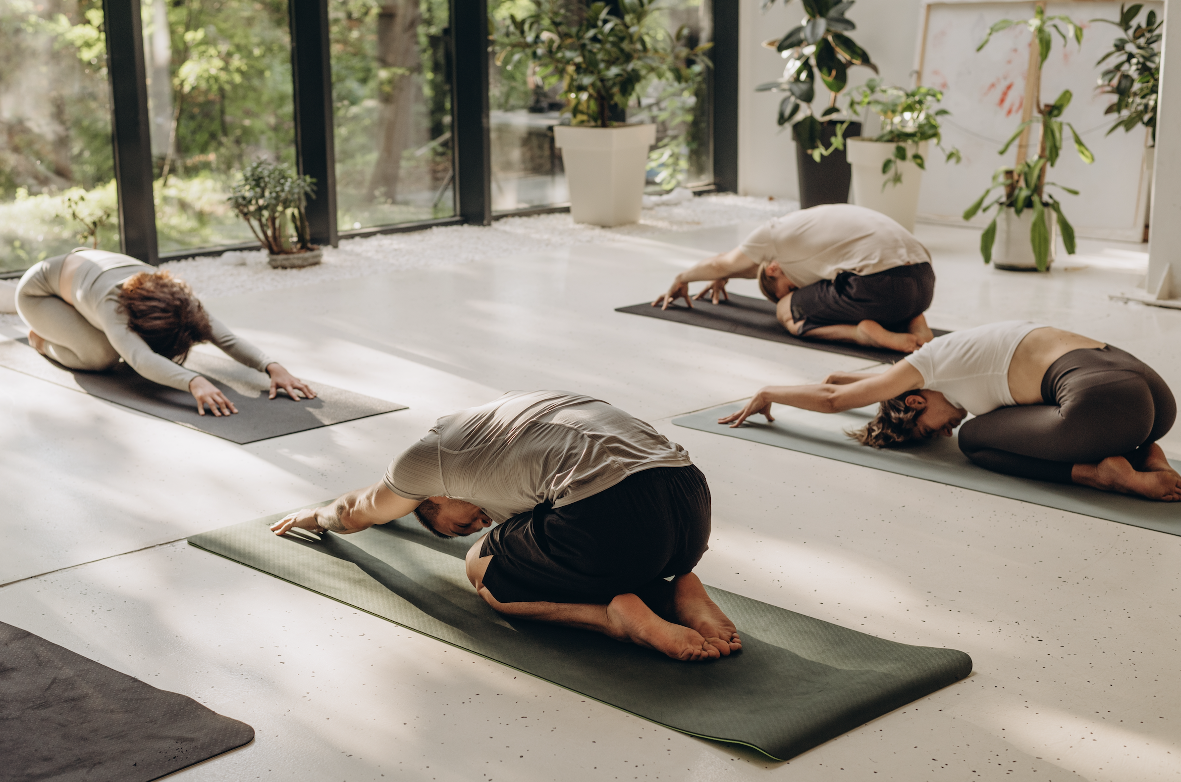 Four people practicing yoga in a sunlit room with large windows, sitting on yoga mats in a fetal pose, with plants and artwork in the background.