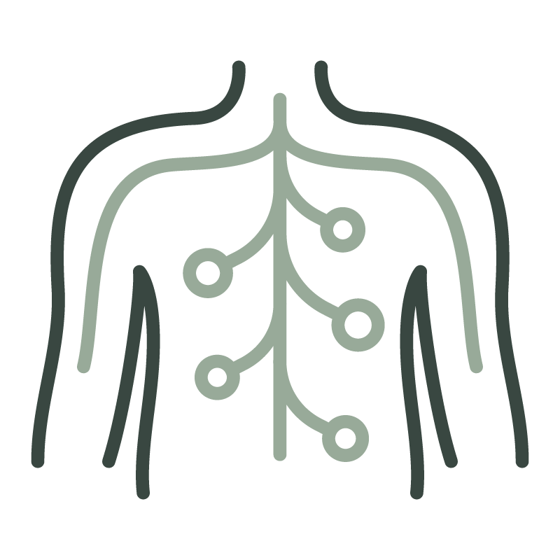 Line drawing of a human torso with interconnected nodes representing the nervous or lymphatic system.