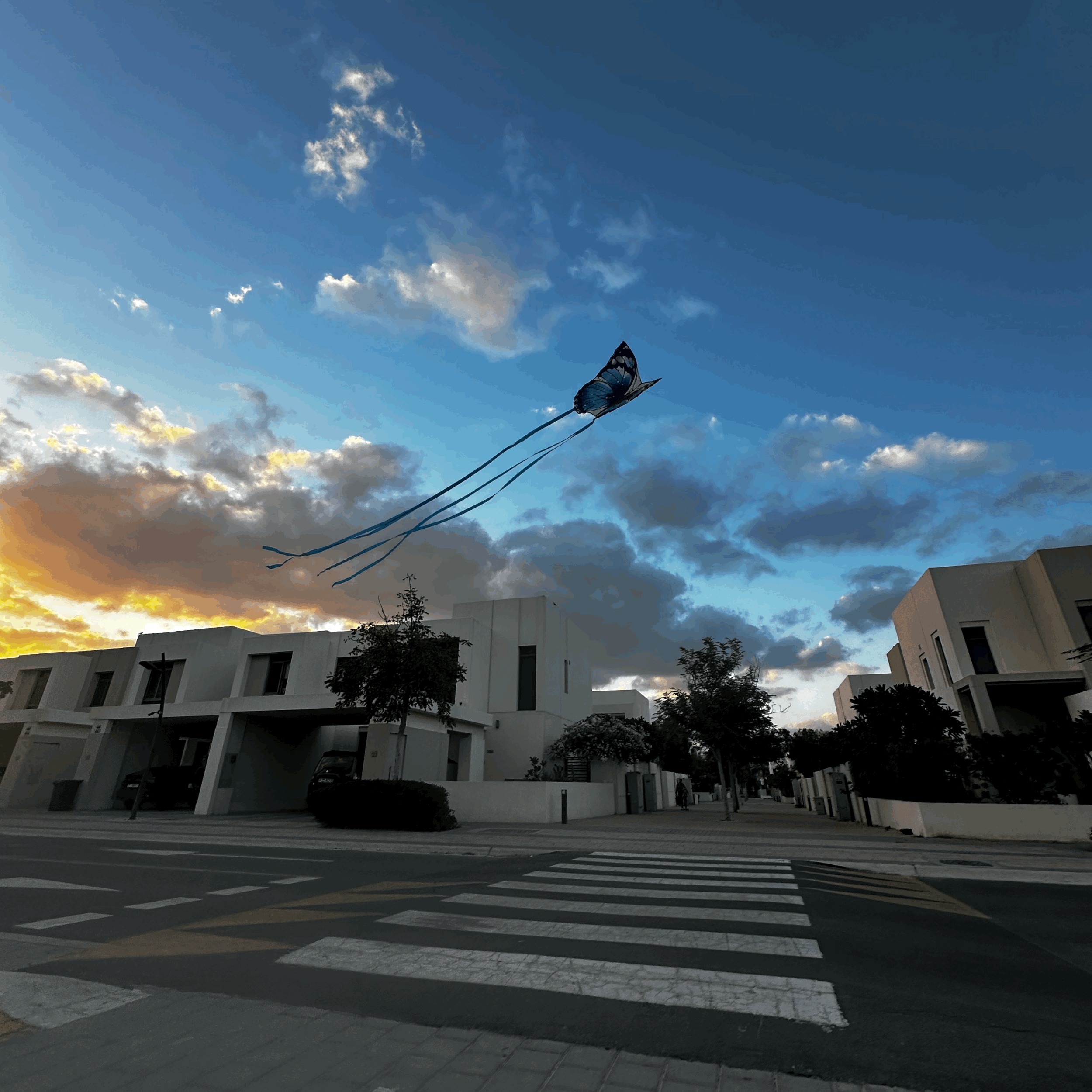 Does Anyone Else Feel Like the End of the Year Took Steroids?