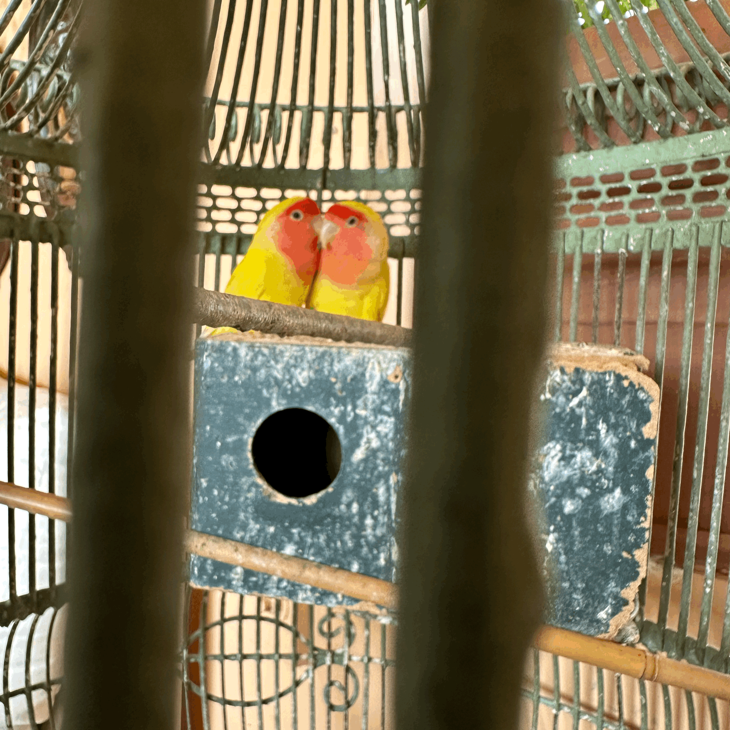 Fixers vs. Feelers: Why Leaders Sometimes Struggle at Home