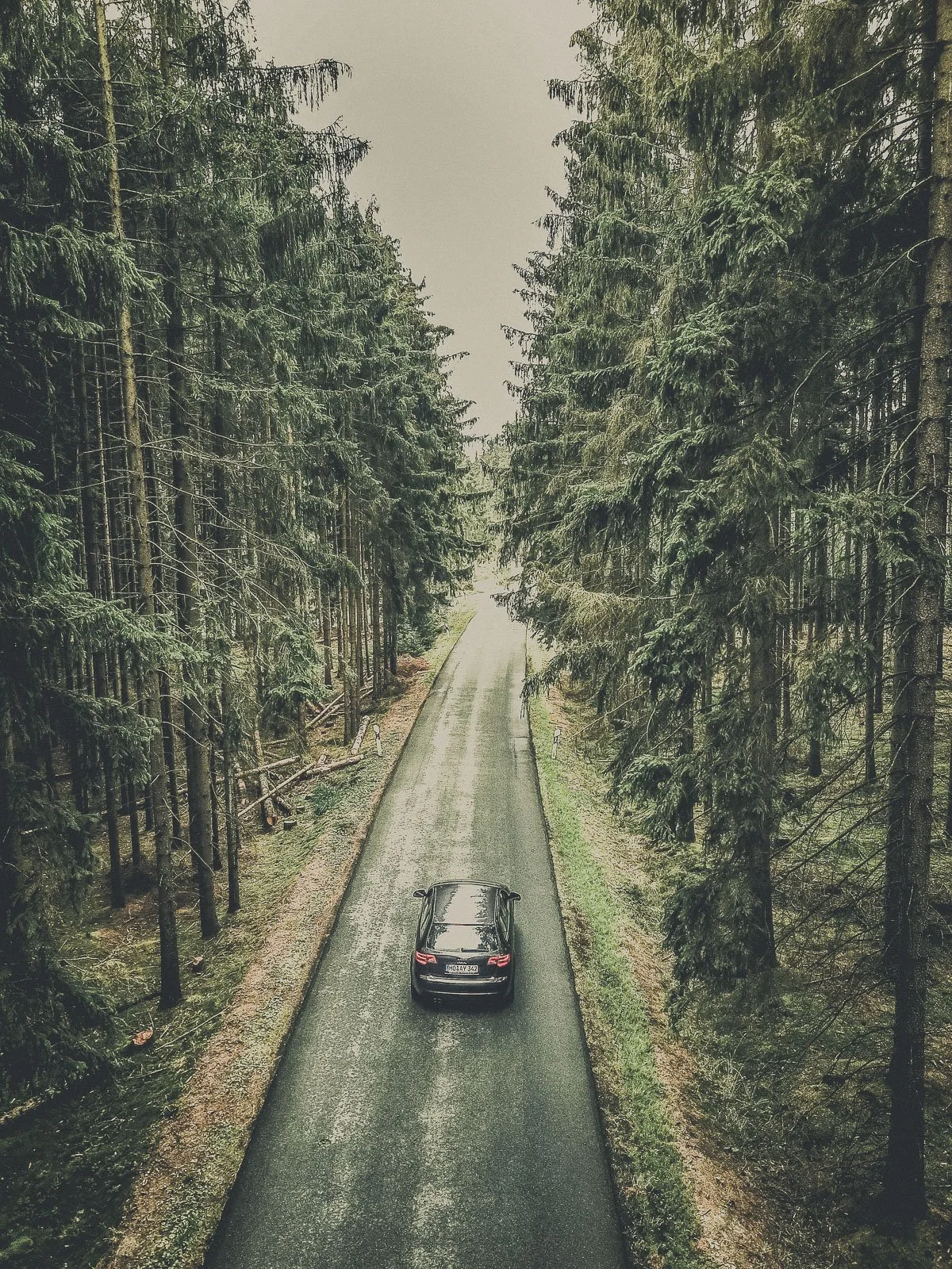 A black car driving on a narrow, wet road through a dense forest of tall, green trees on both sides.