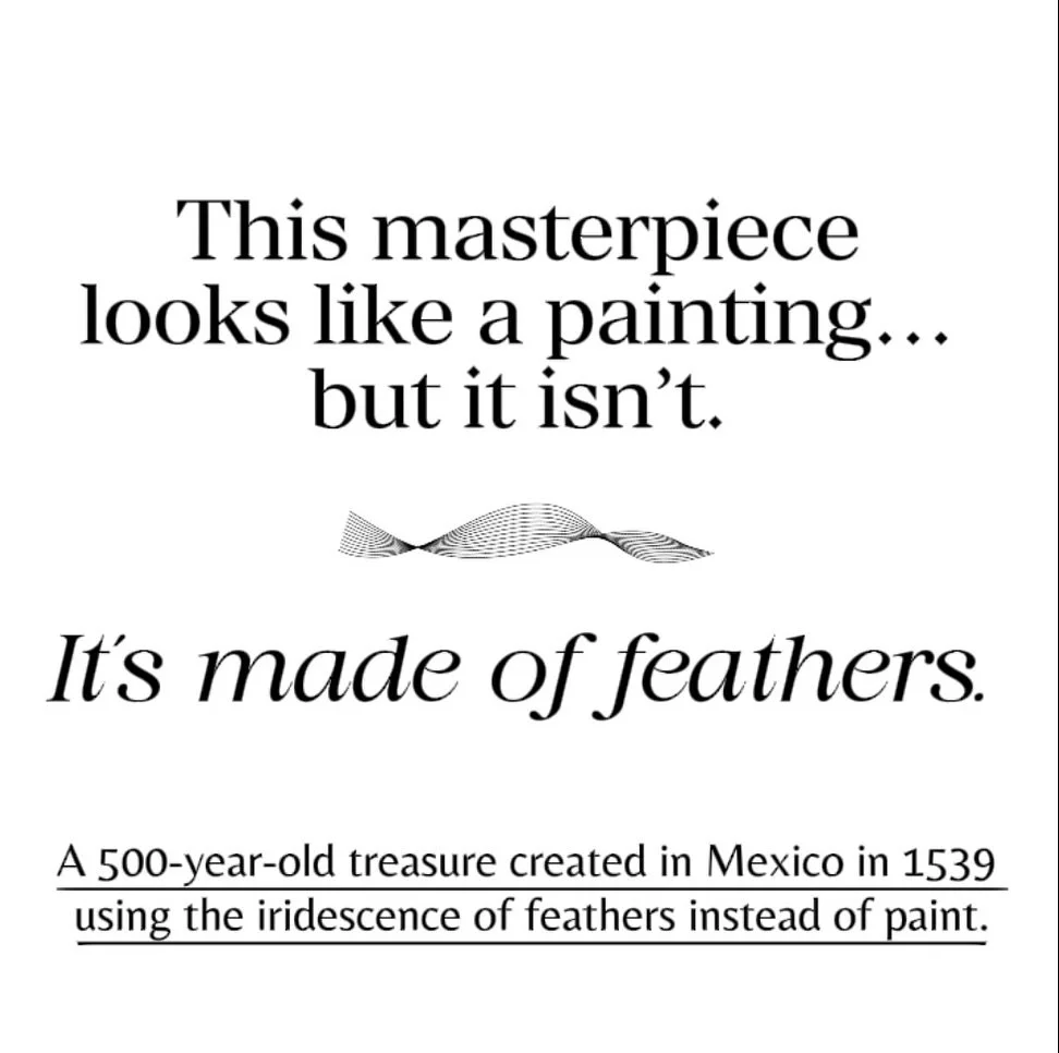 What looks like a painting is actually thousands of feathers &mdash; a 500-year legacy reborn. 🪶✨ #FeatherArt #LegacyInLight #fineart #contemporaryart #visualarts #art #houstonartist