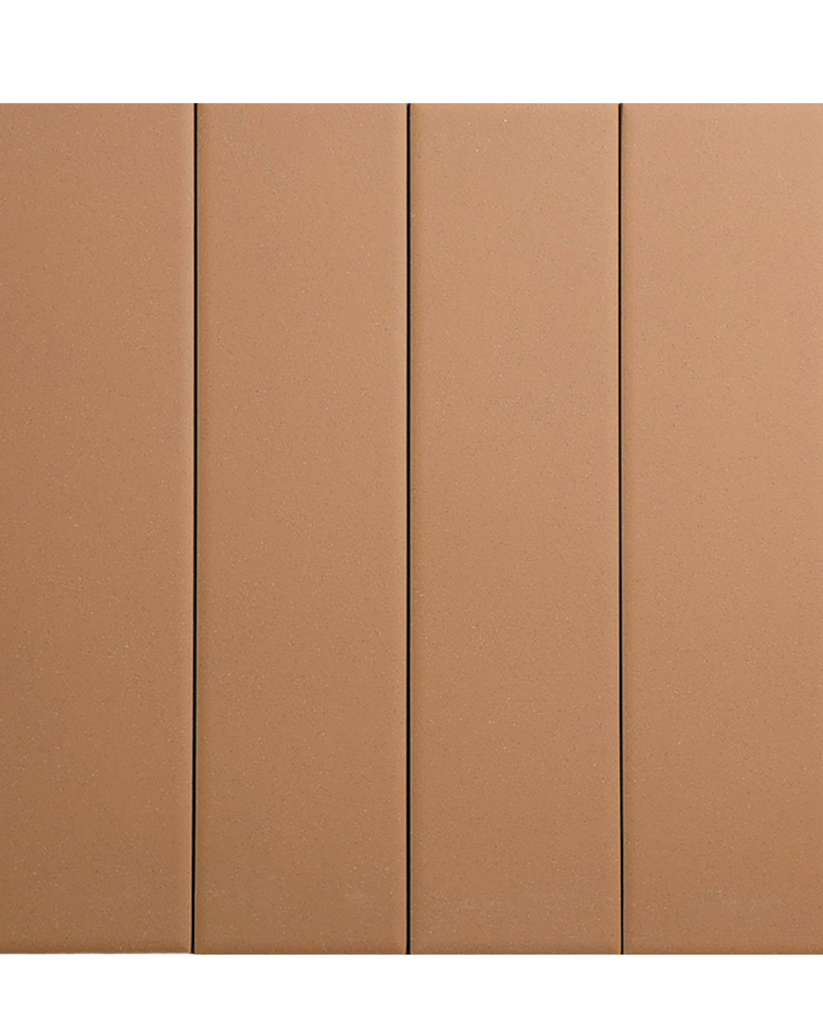 Tapp Camel 60x246mm