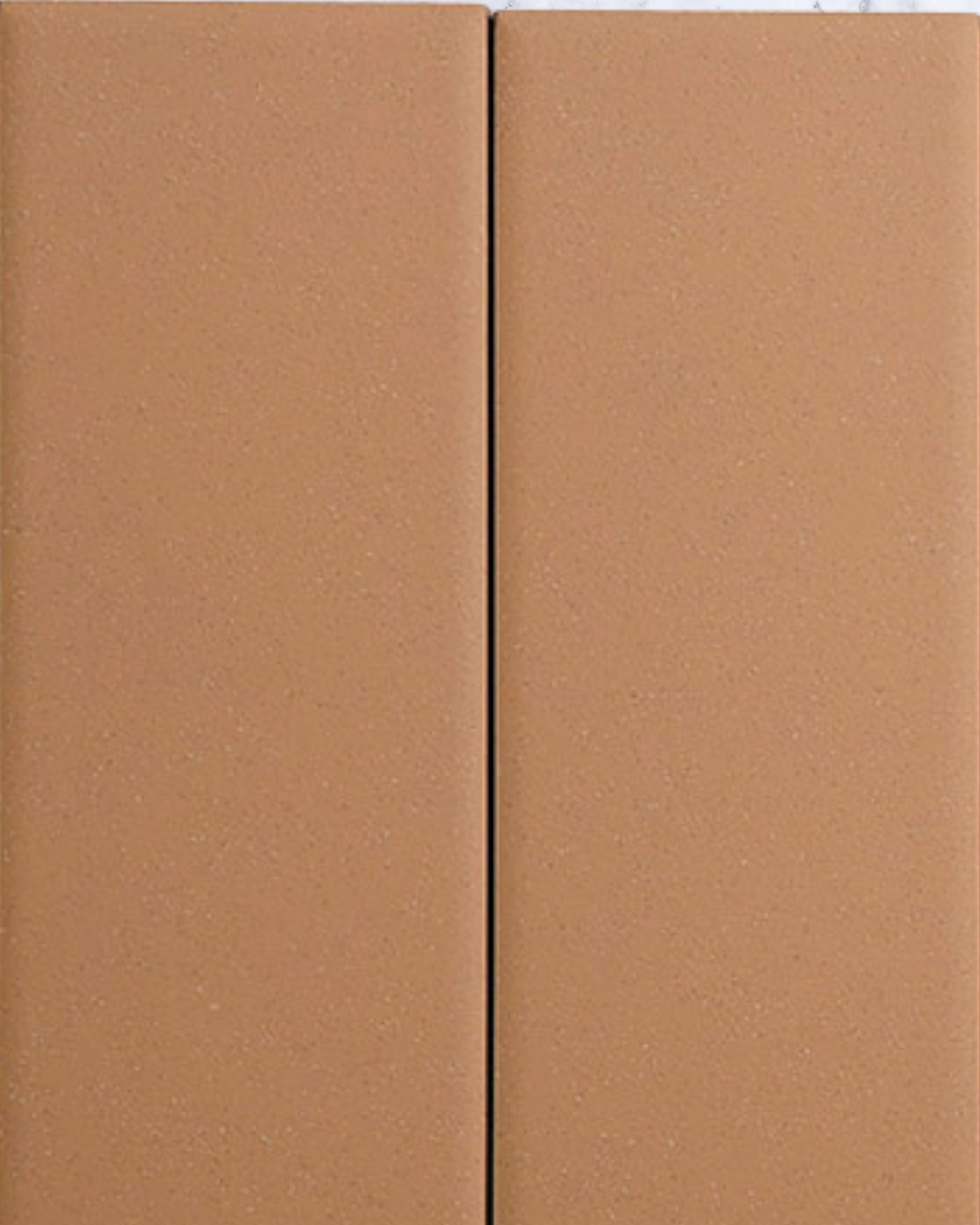 Tapp Camel (2).png