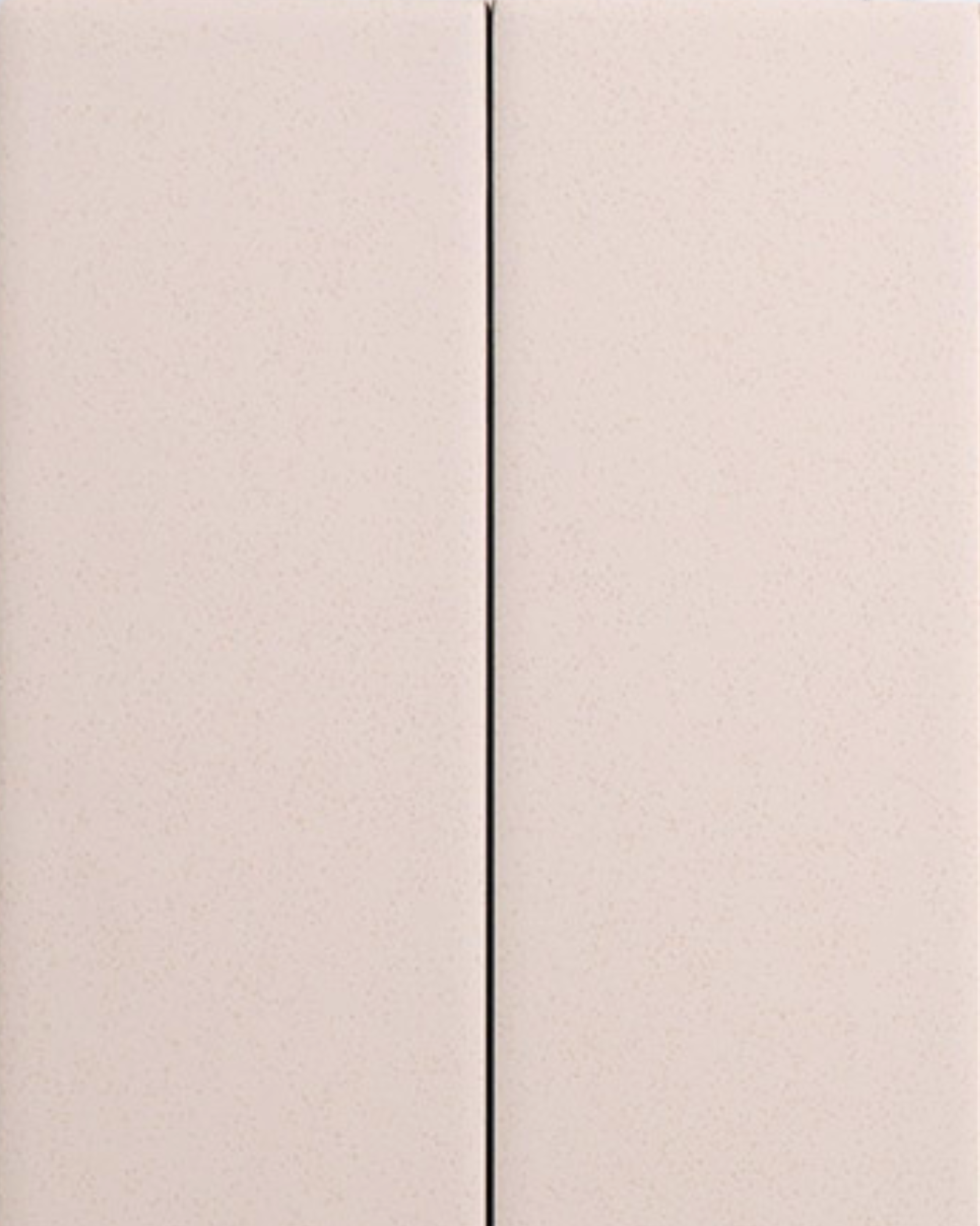 Tapp White (2).png