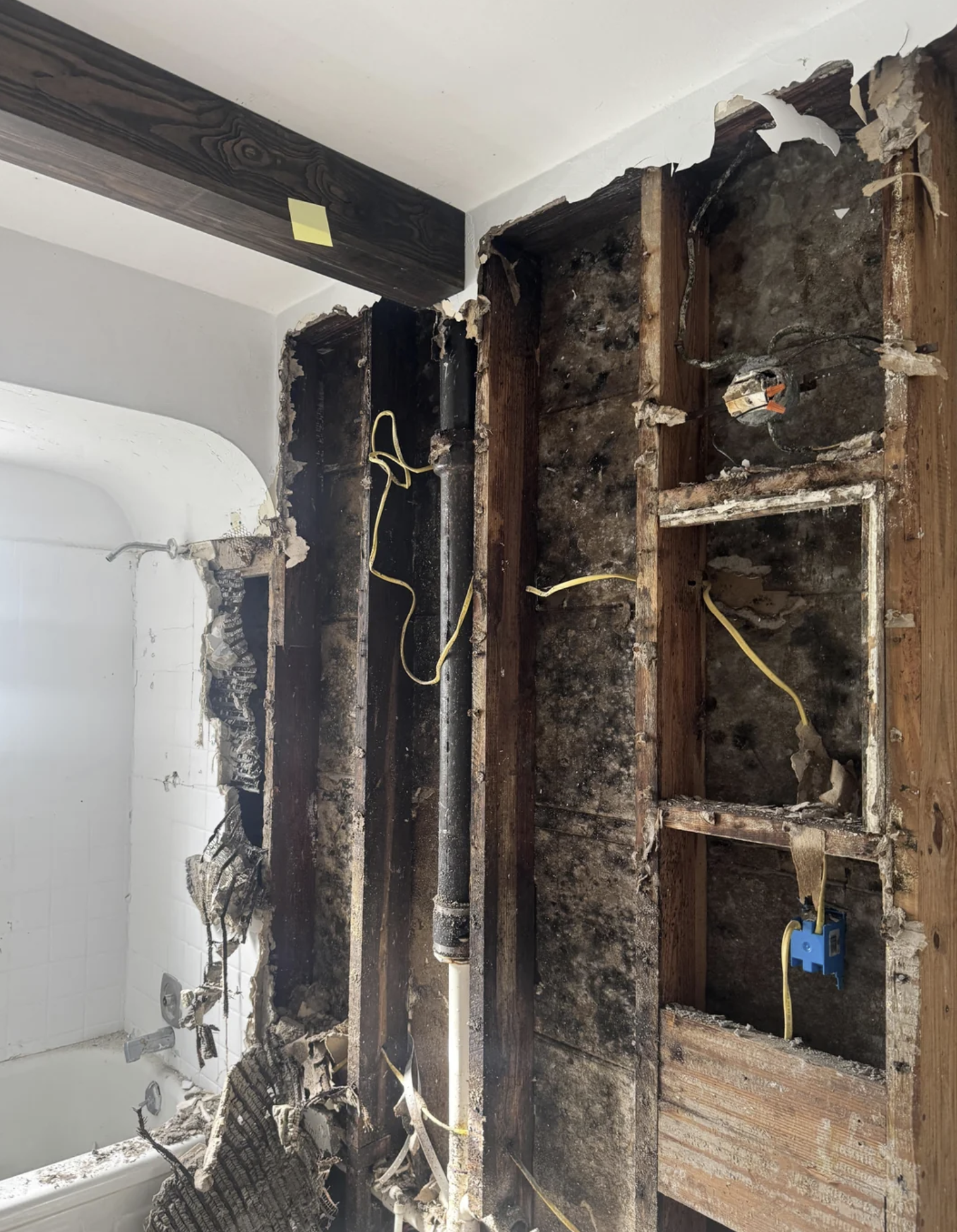 Rainy Season Mold Risks In San Diego: What You Need To Know