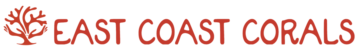 East Coast Corals
