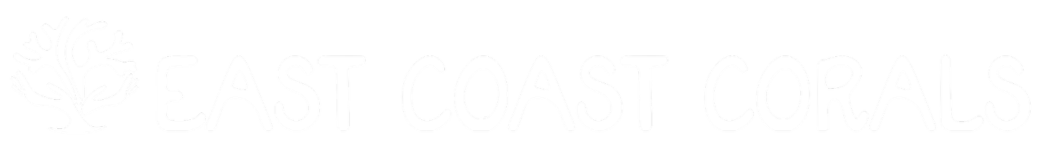 East Coast Corals