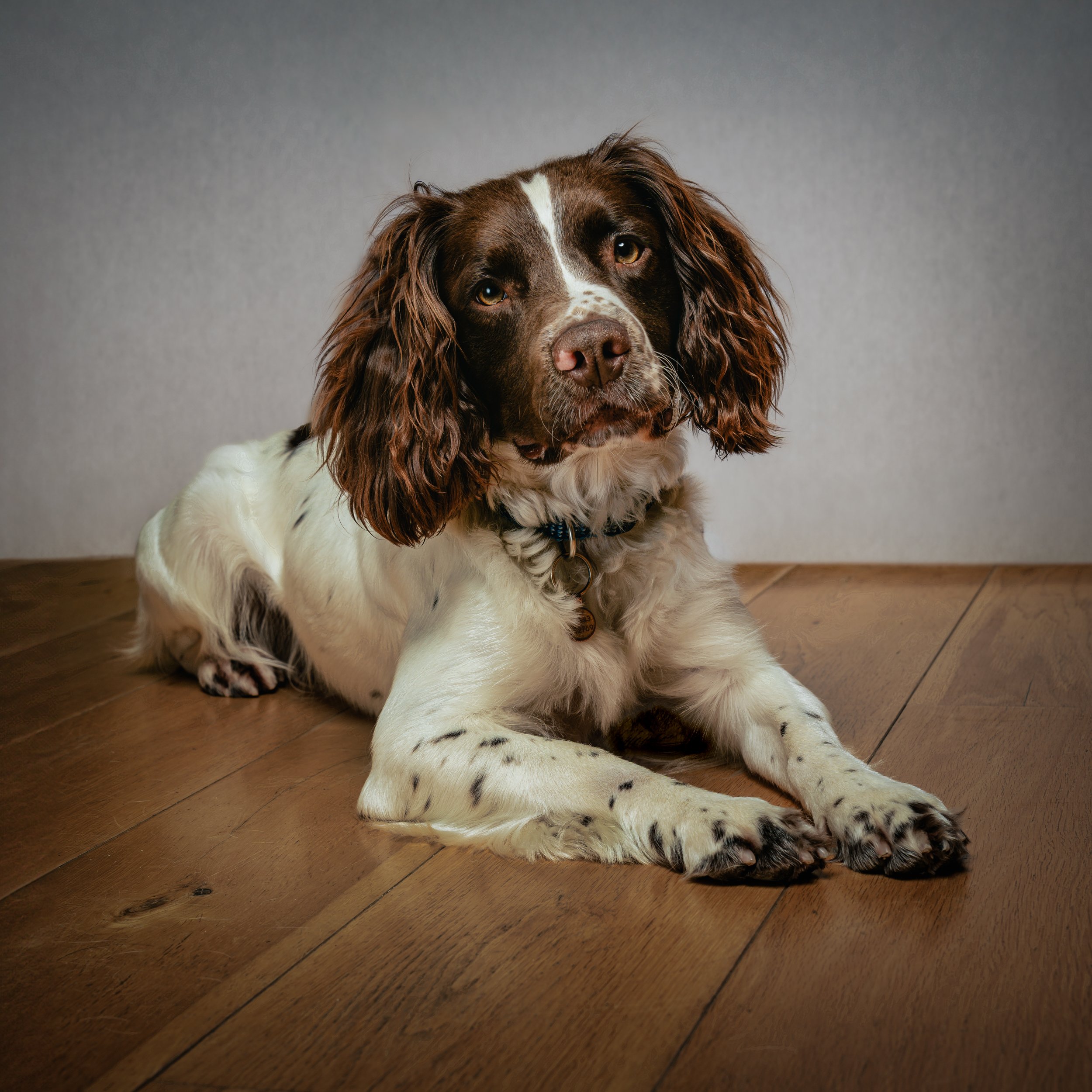 Eric Portraits web 2.jpg