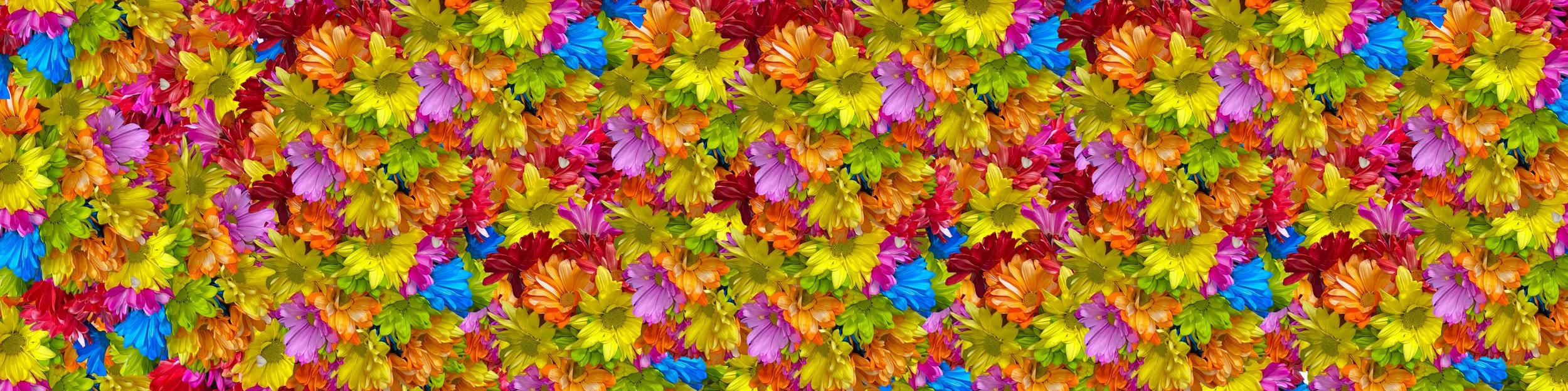 Rainbow Flower Wall”, Digital Assemblage, 4 × 16 in, October 2025