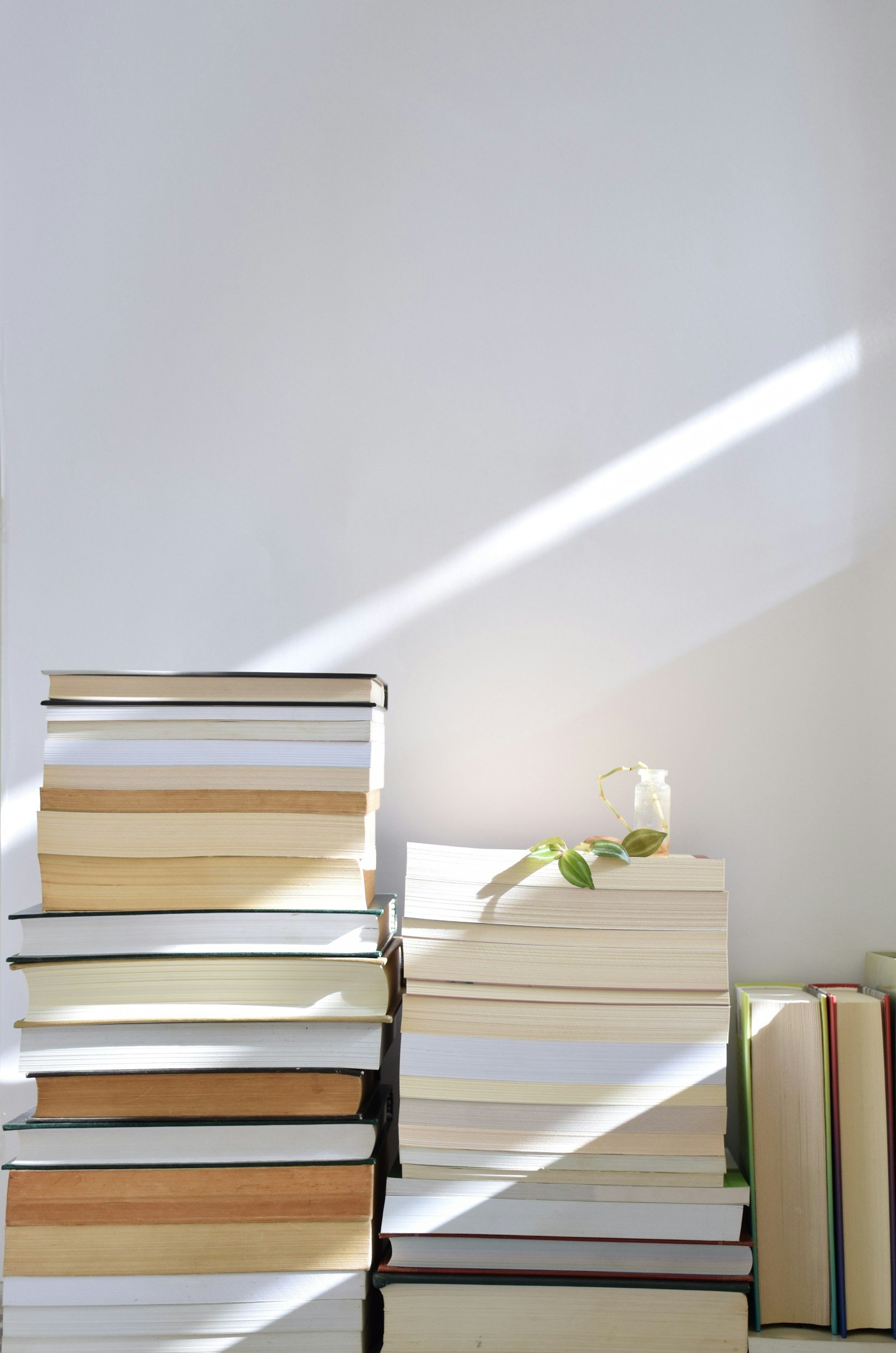 Stacks of books arranged on a table in bright natural light, with a small plant in a glass jar casting shadows on the wall – The Family Atelier, Milan.