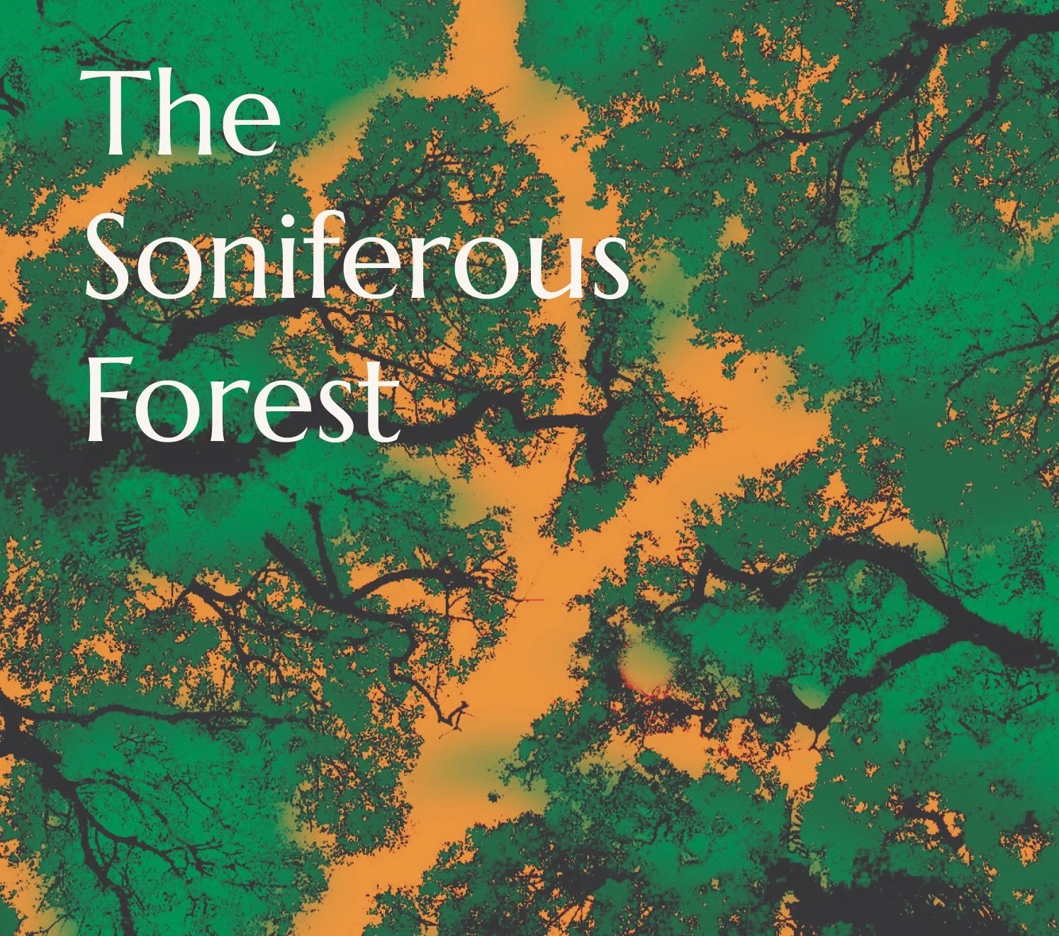 Soniferous Forest MP3