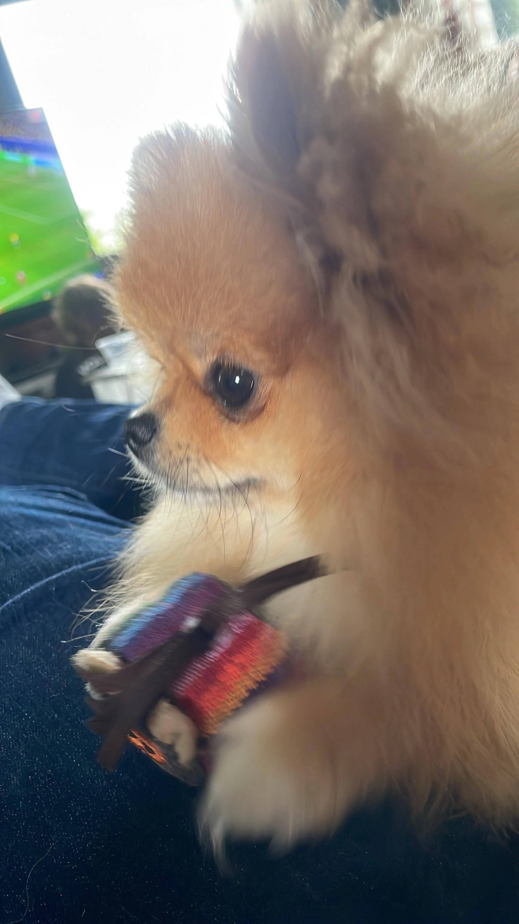 IMG-20260627-WA0002.jpg