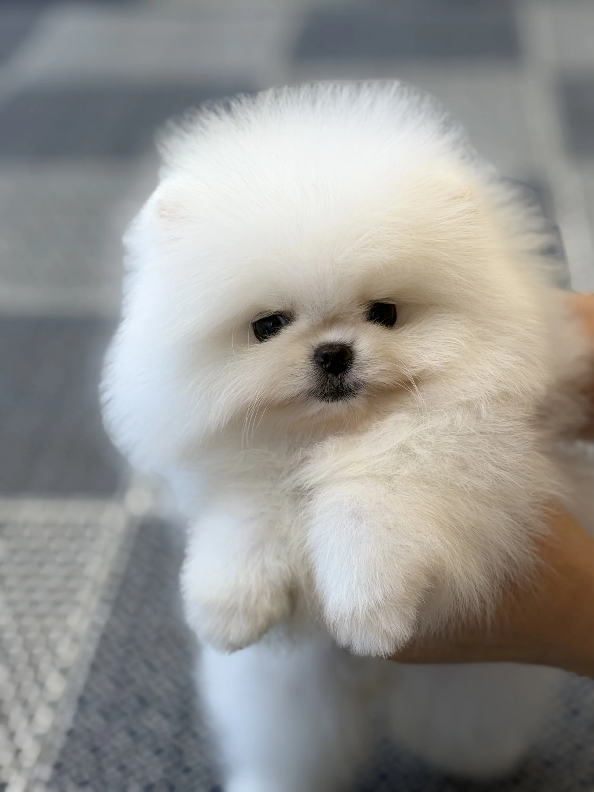 Copy of 1769417583990.jpg