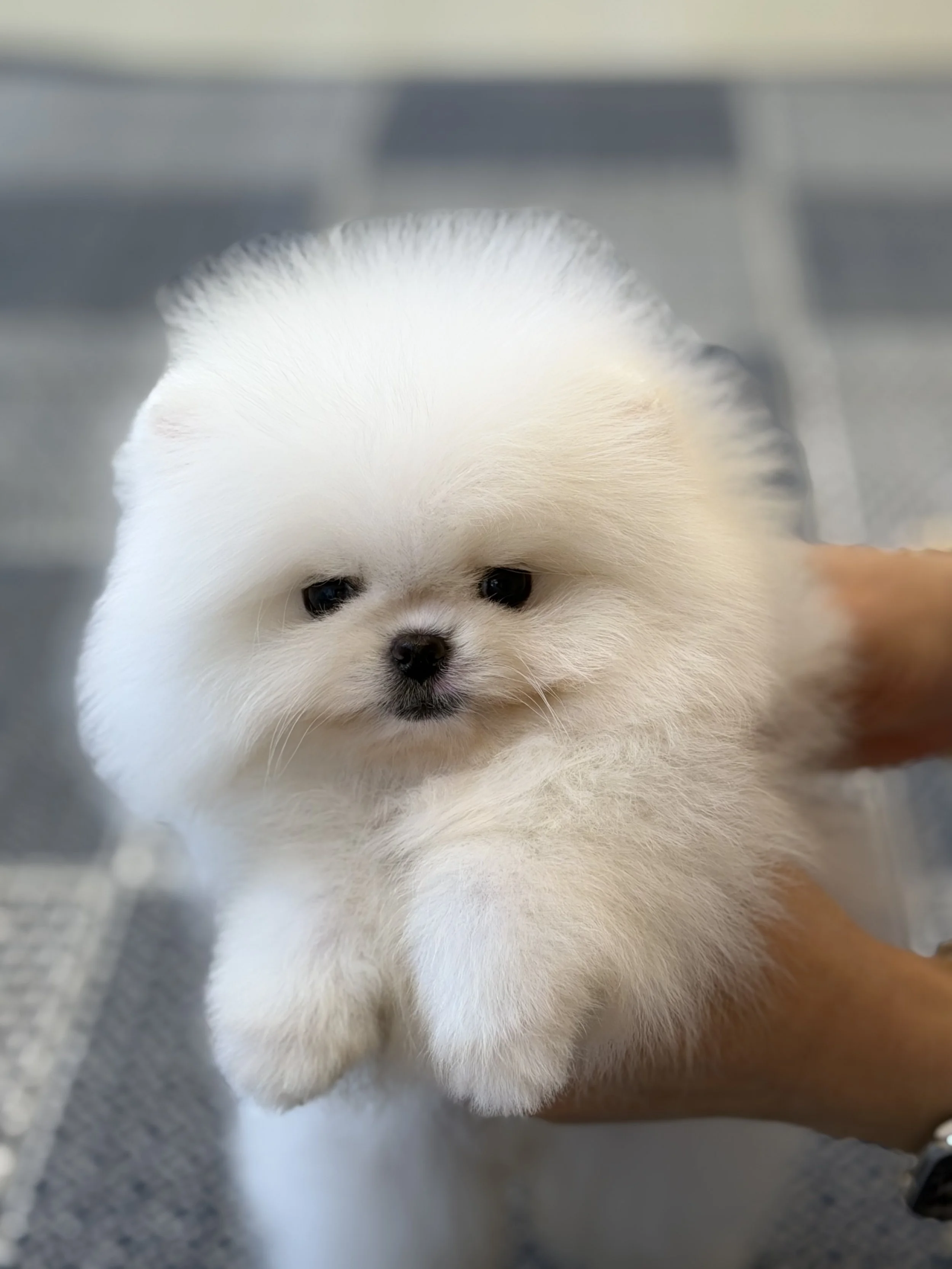 Copy of 1769417584039.jpg