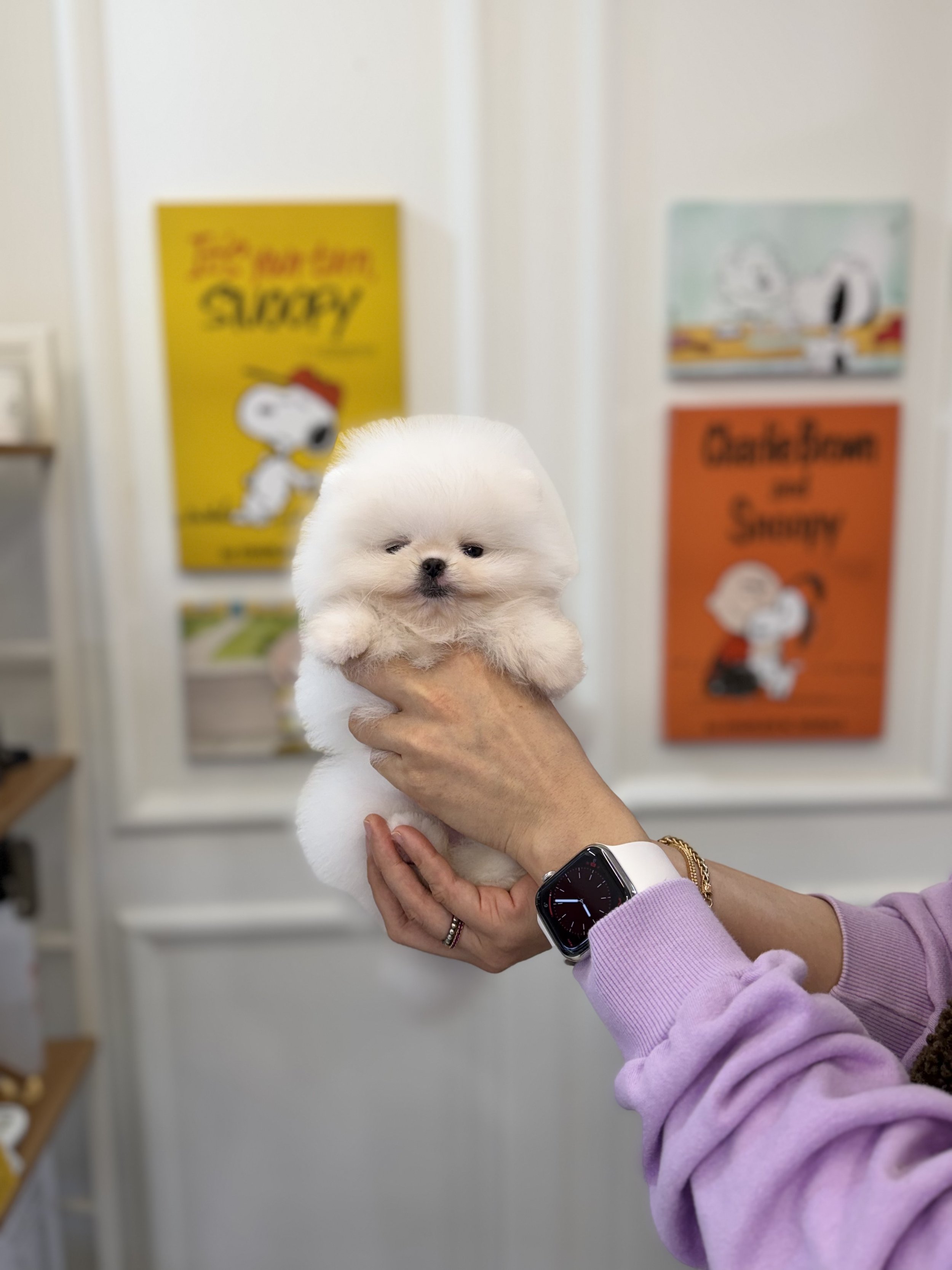 Copy of 1769417584262.jpg