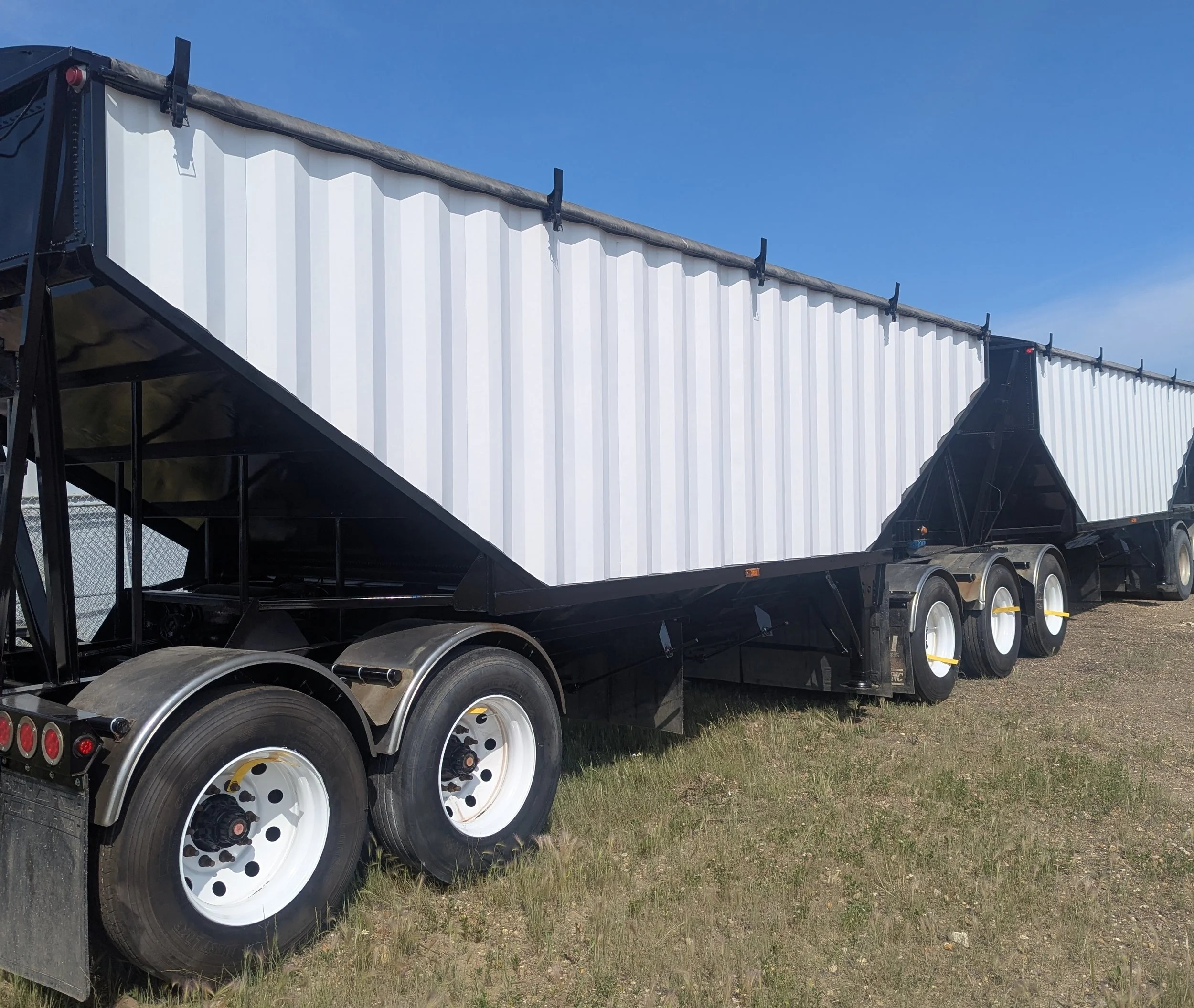 Semi-trailer with white cargo container parked on grass under a clear blue sky.