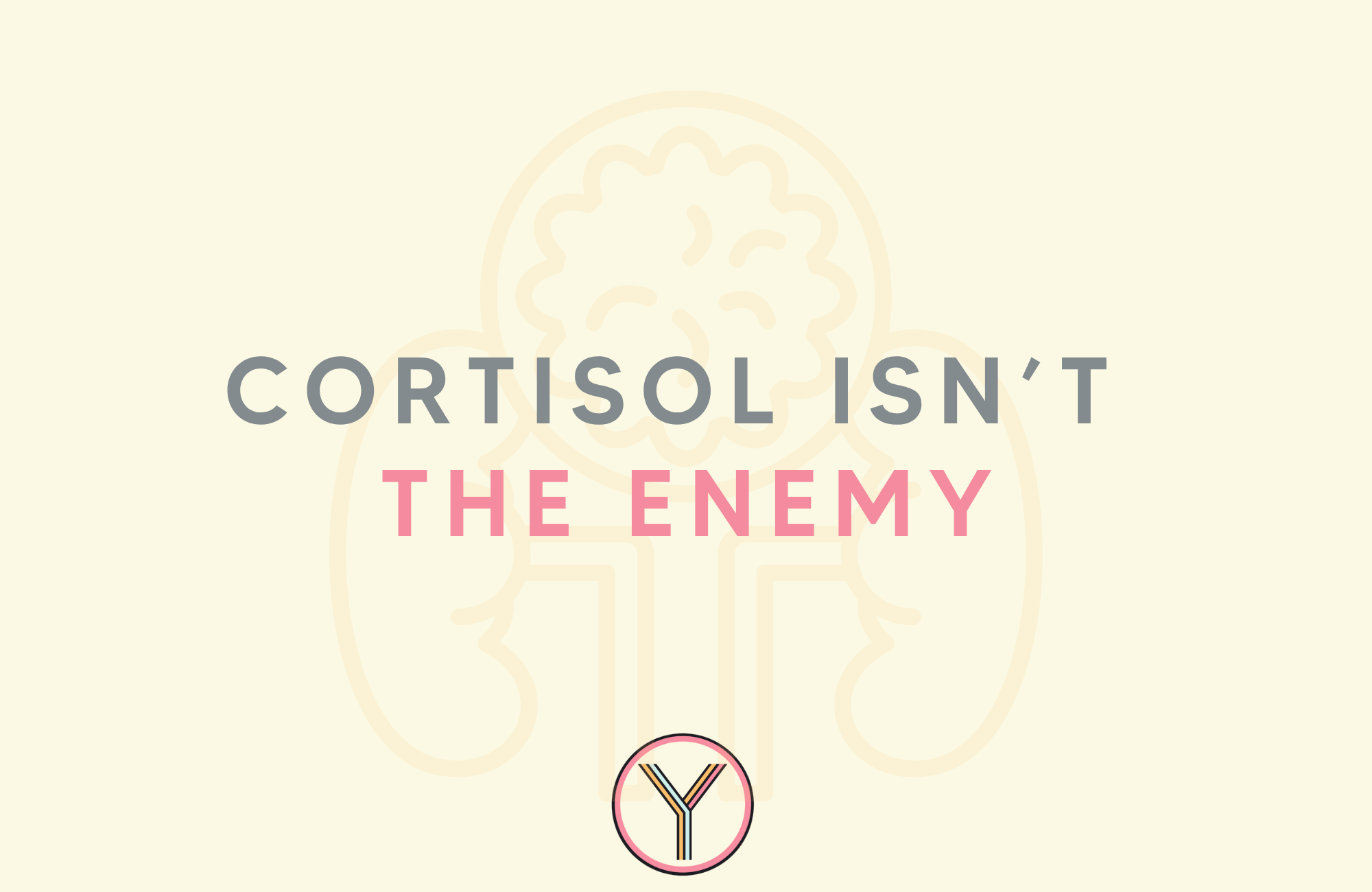 Should you lower cortisol before bed?