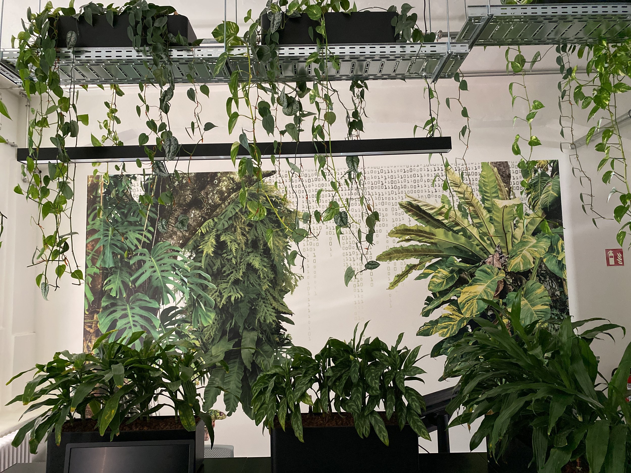 Drivery Berlin (4).jpg