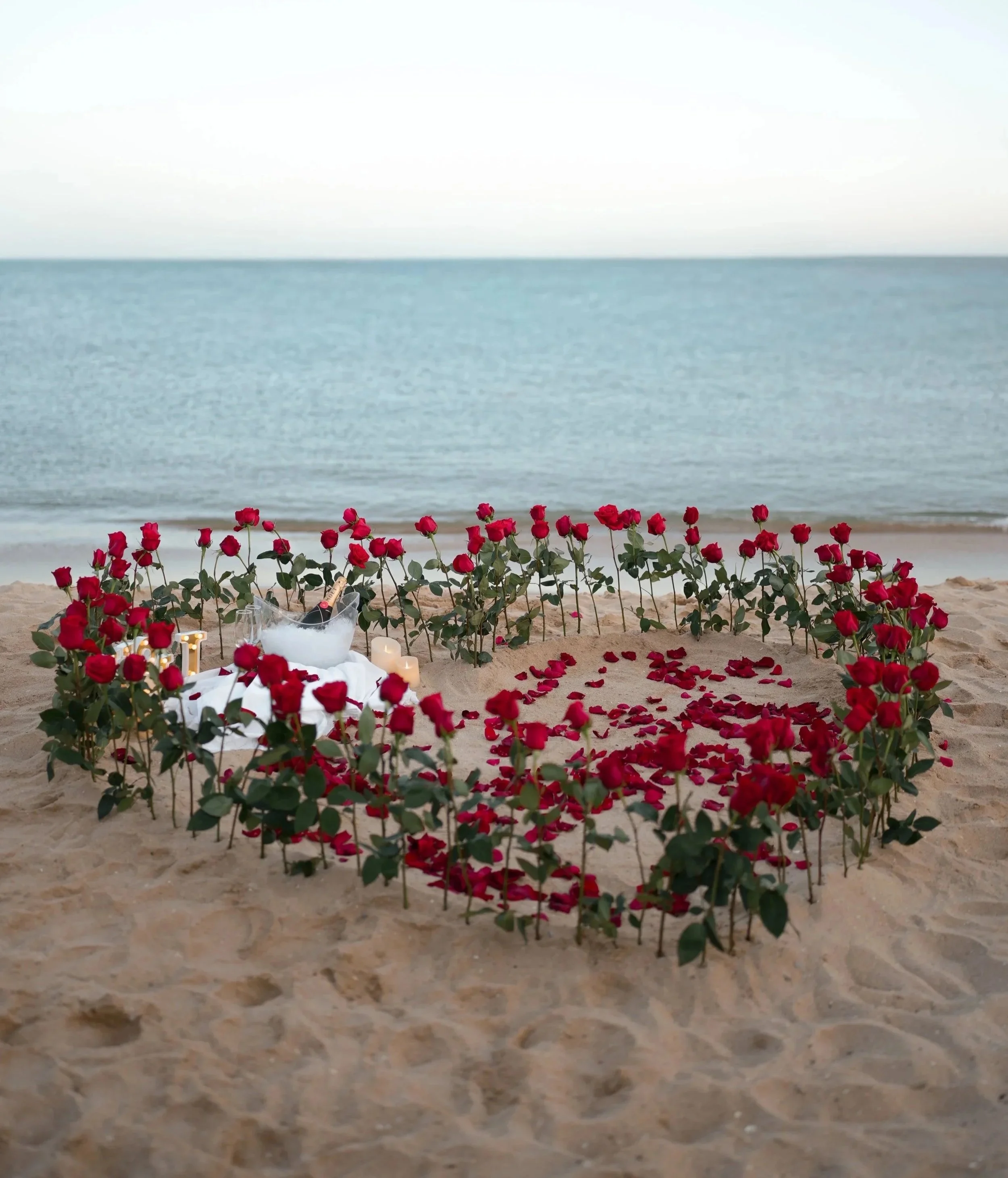 Valentine's Day or romantic setup on a sandy beach with red roses arranged in a heart shape, candles, and a bottle of champagne in an ice bucket, overlooking the ocean.