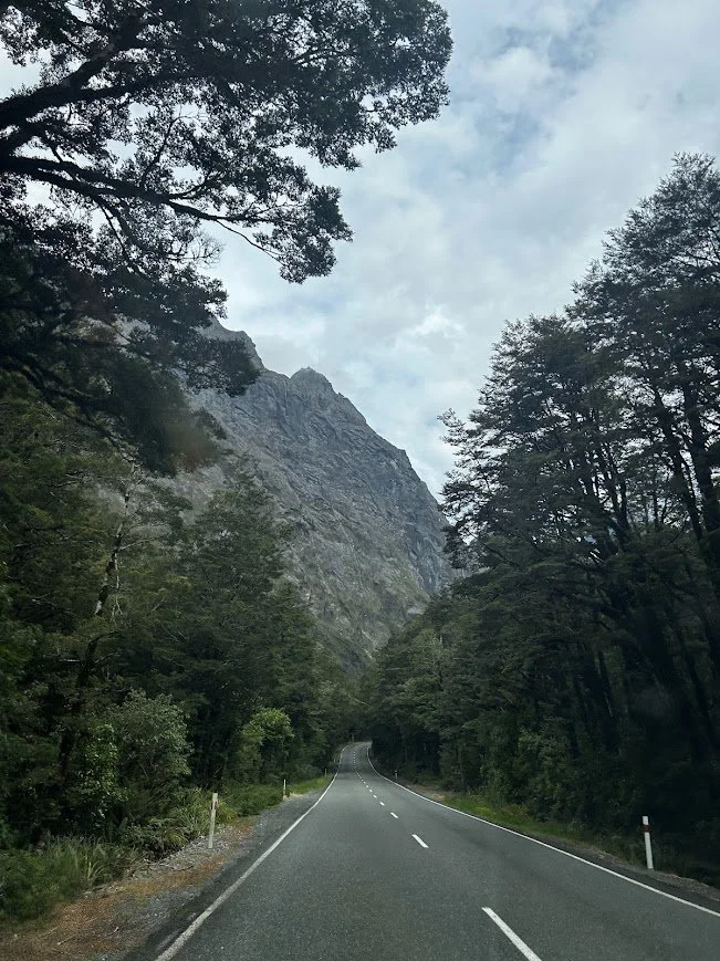A winding road through a dense forest with tall trees on either side, leading toward rocky mountains under a partly cloudy sky.