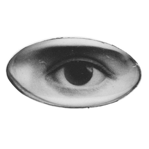 A black and white illustration of a human eye inside an oval shape.
