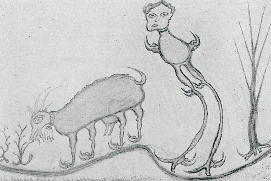 A surreal pencil sketch of a creature with the body of a coyote, a human face, and tree-like tail, standing on a hill near a leafless tree and a shrub.