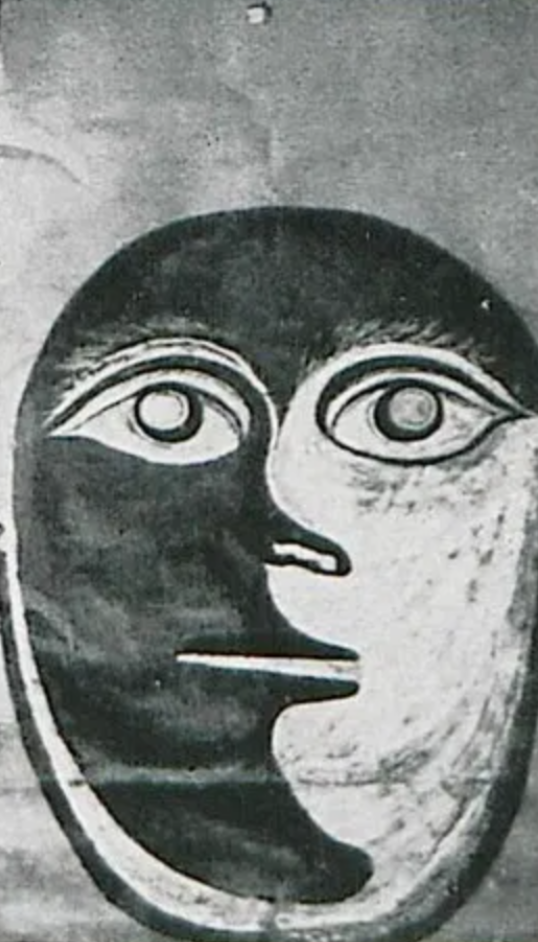 Monochrome drawing of a face mapped onto an oval shape, with large eyes, eyebrows, and a nose, blending features of a human face with abstract art.