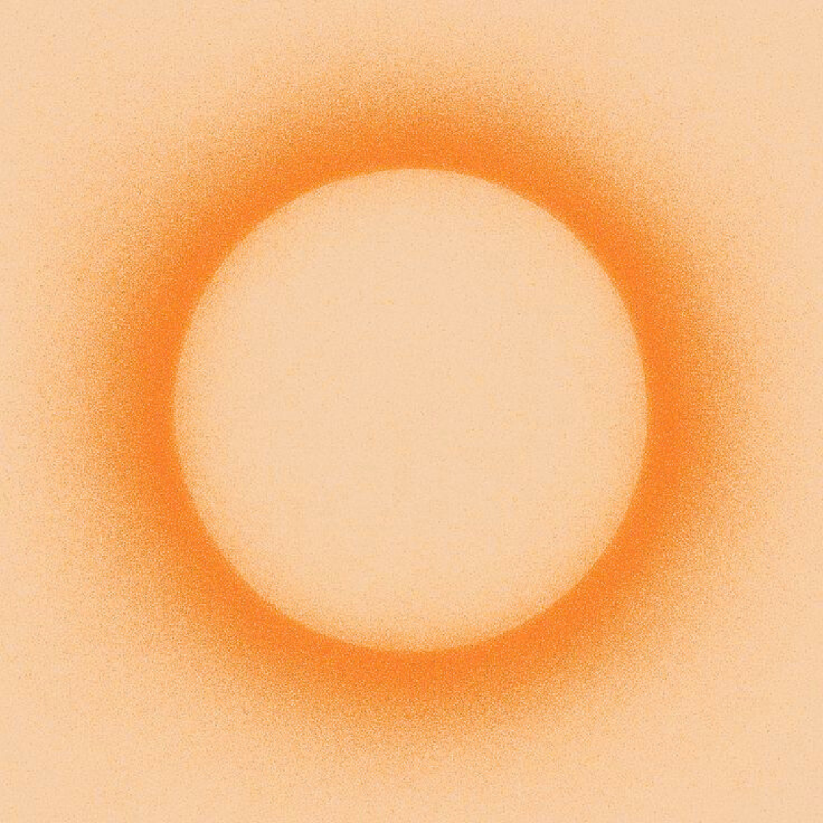 Close-up of a round, orange and white object against a peach background.