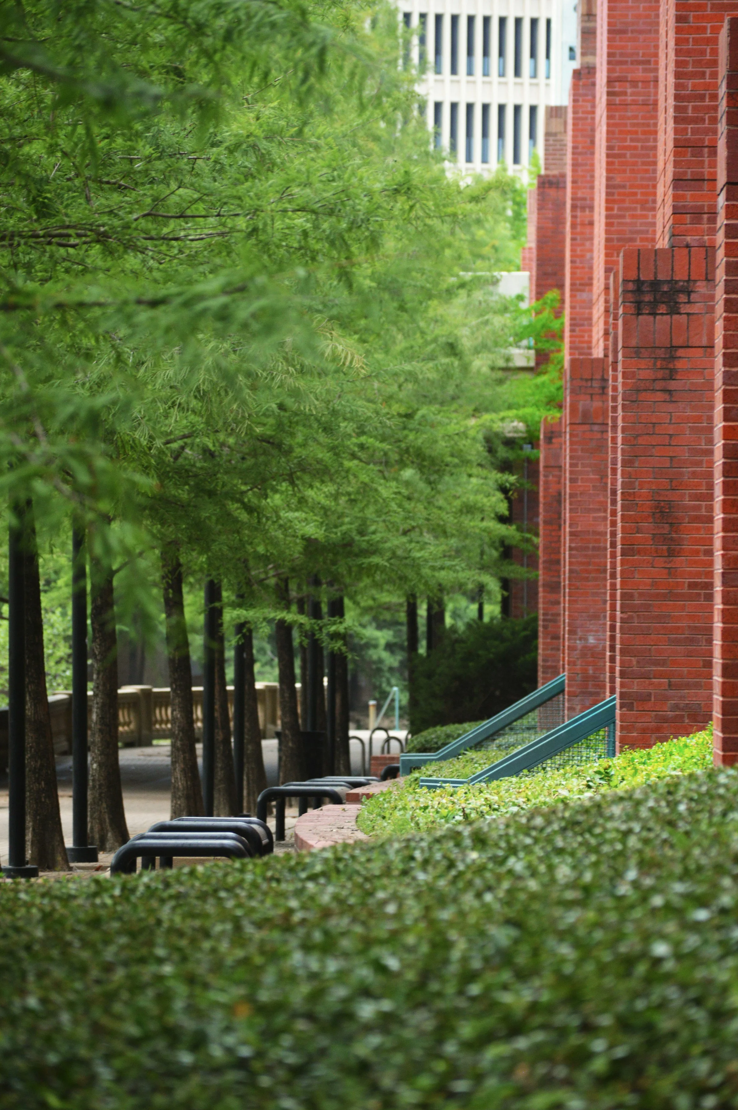 Ortelius - onze diensten - impactanalyse.jpg