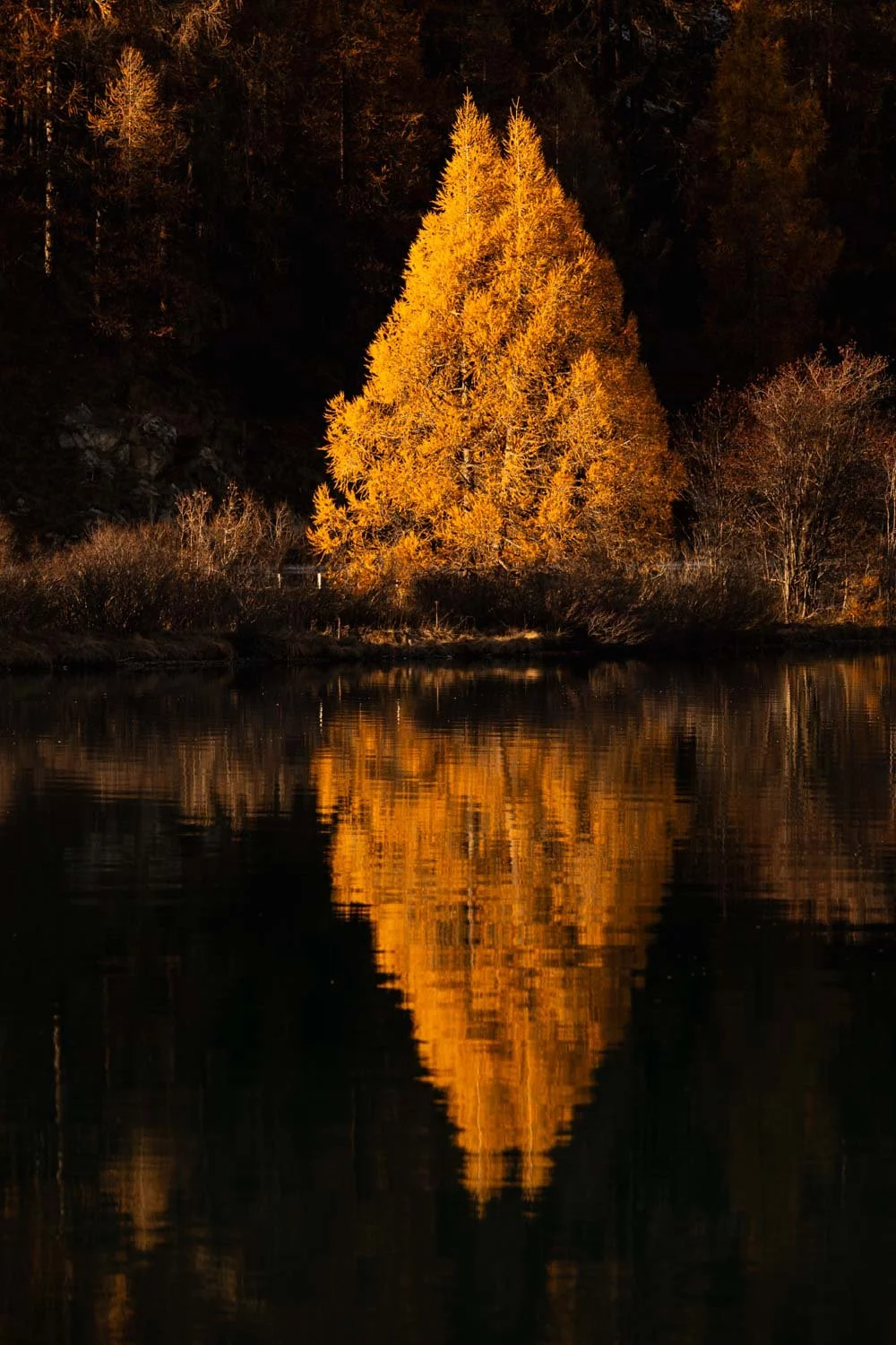 Fotokurs Herbst Engadin.jpg