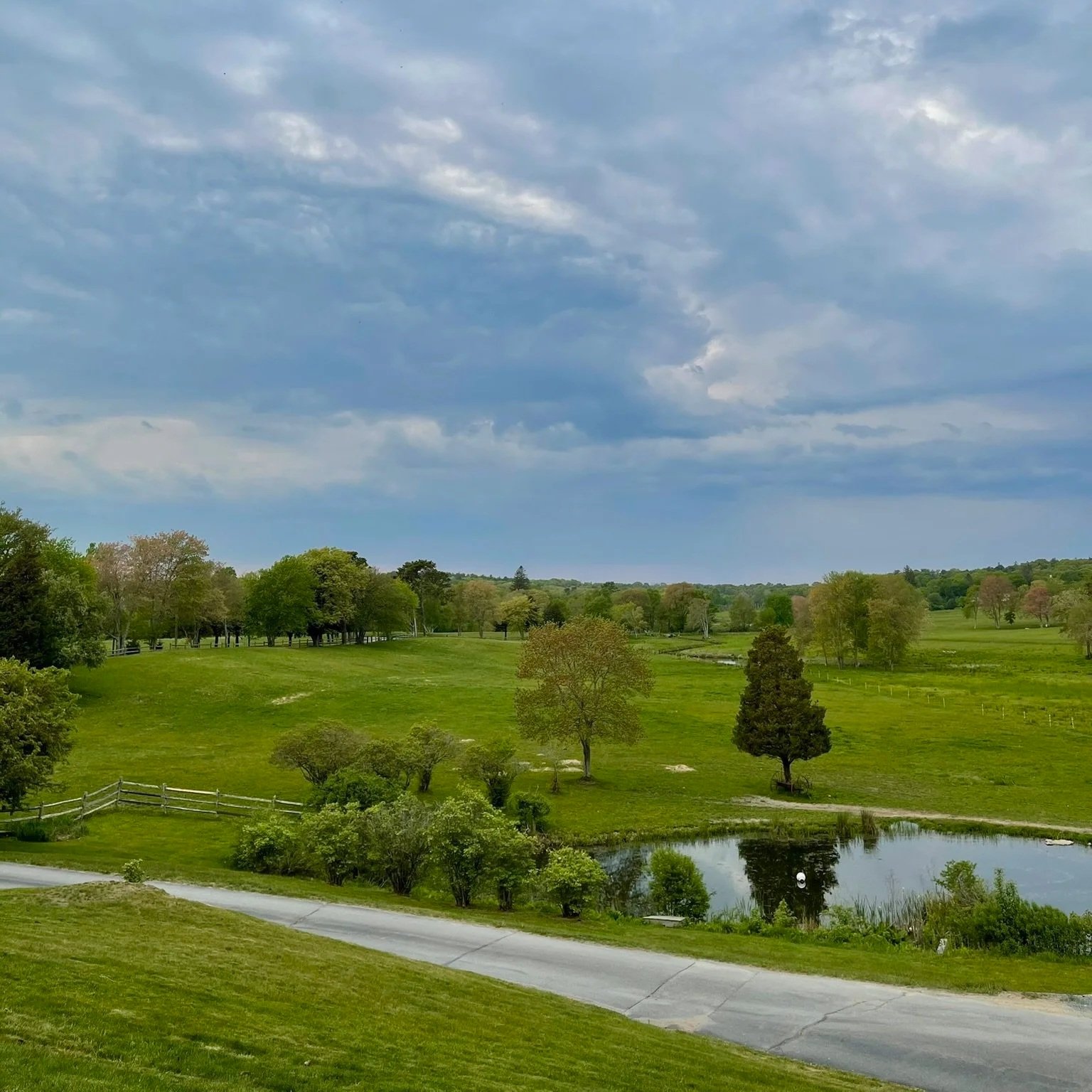 Exploring the Pause
