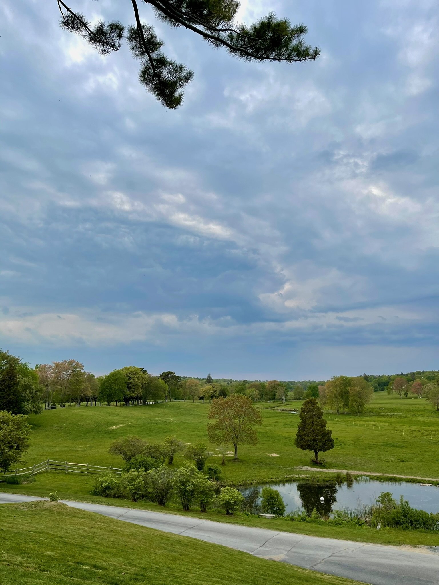 jpglandscape.jpg