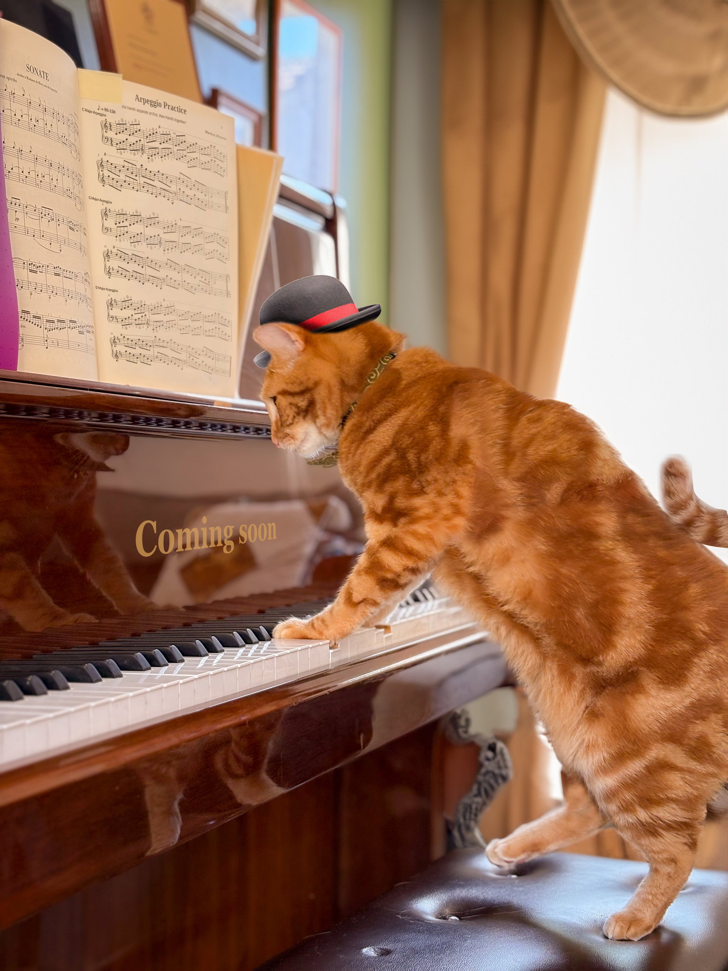 potato coming soon 2.jpg