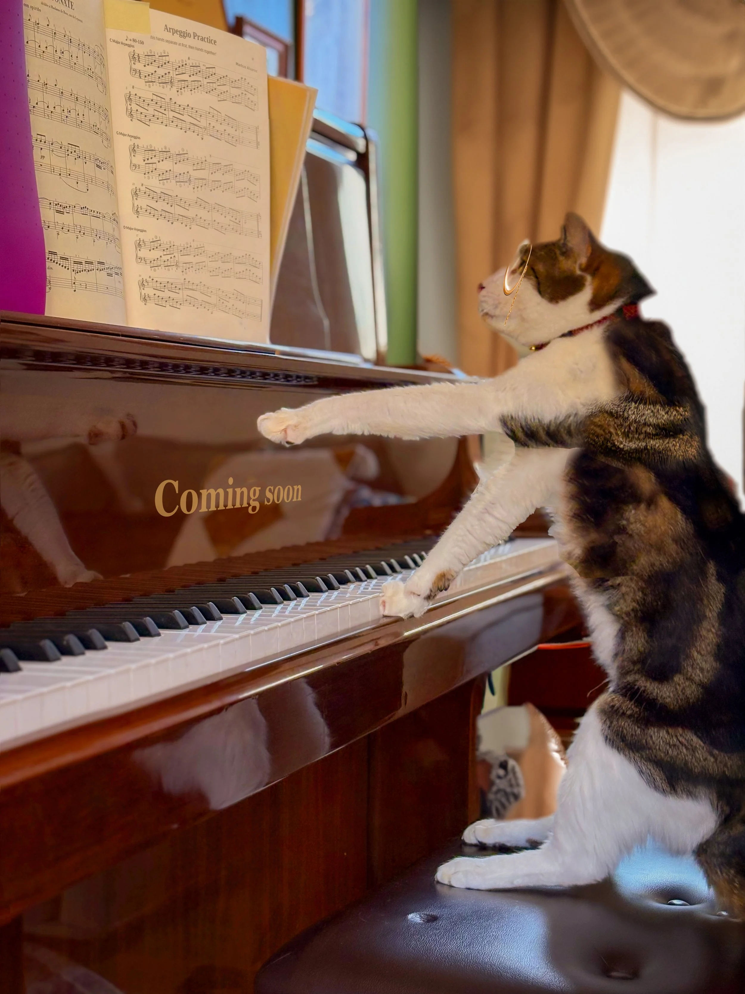 granger coming soon 2.jpg