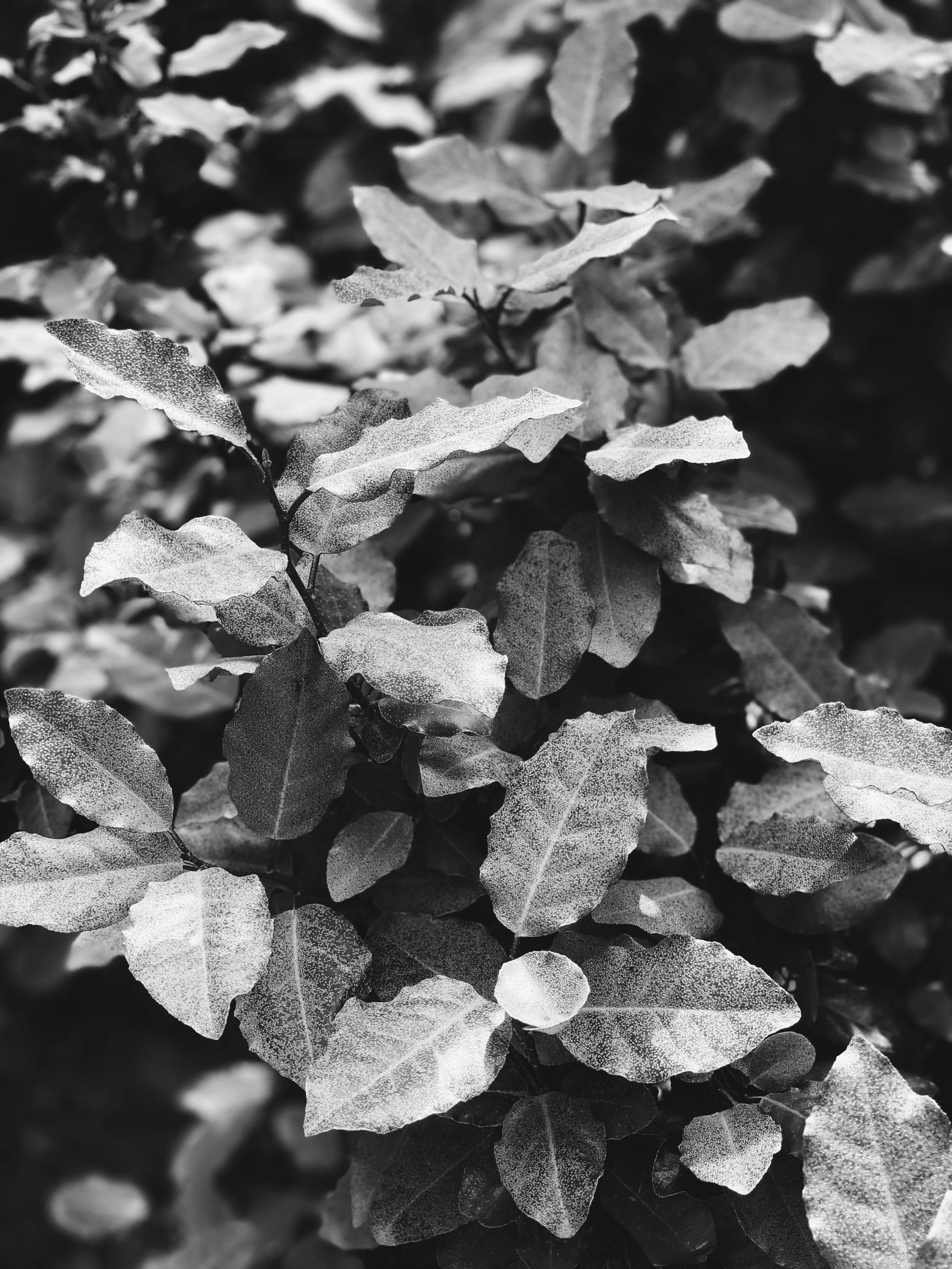 Vertrauen und Zuversicht durch psychologische Prozessgruppen