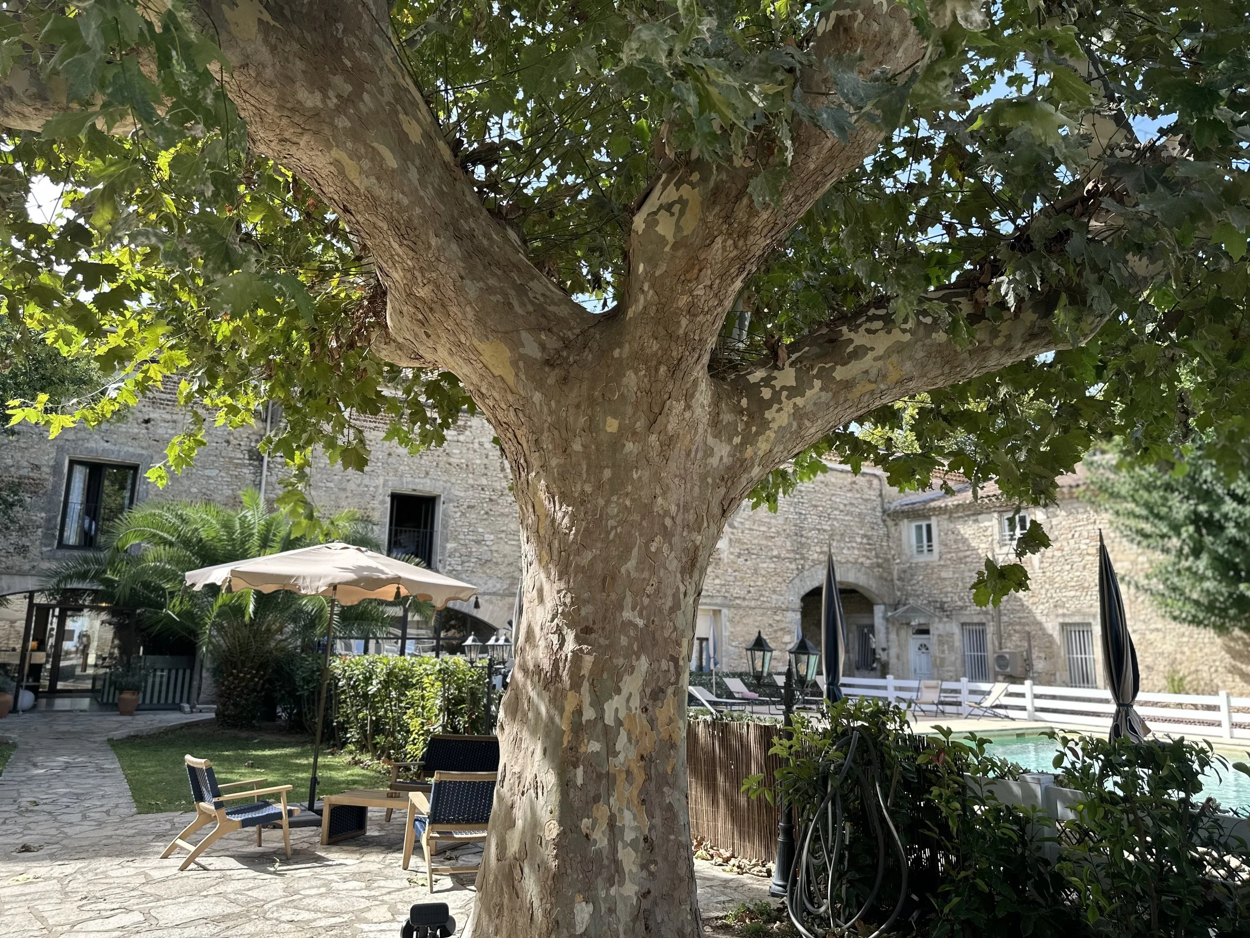 IMG_4522.jpeg