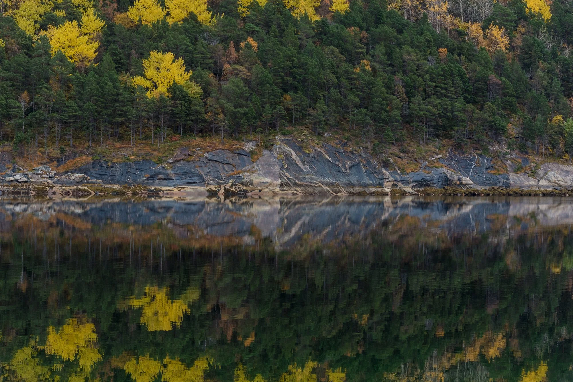 Reflections in Salten, Norway-DSC_0147.jpg