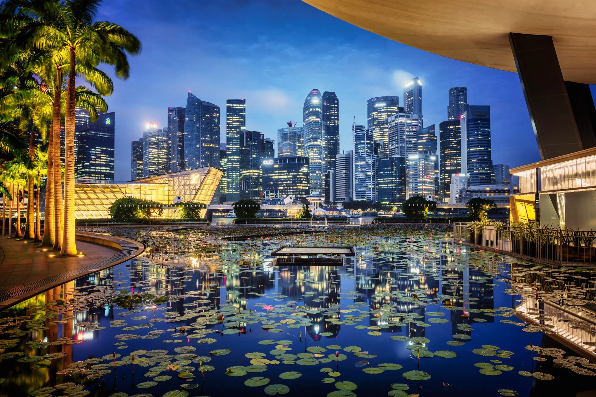 Singapore skyline at blue hour with reflections in water and a framed perspective from a sheltered viewpoint.