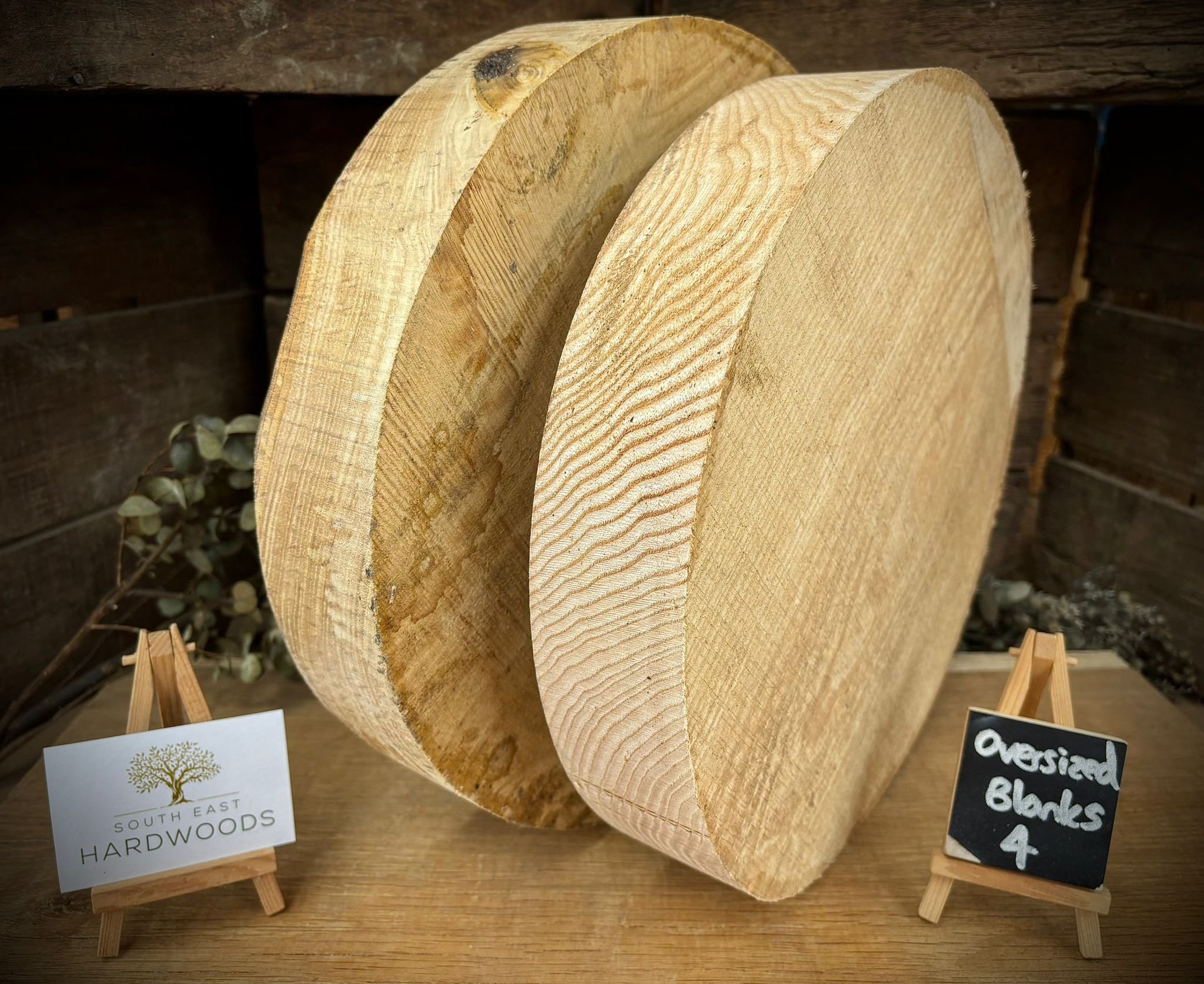 Oversized blank 4, sweet chestnut, ash