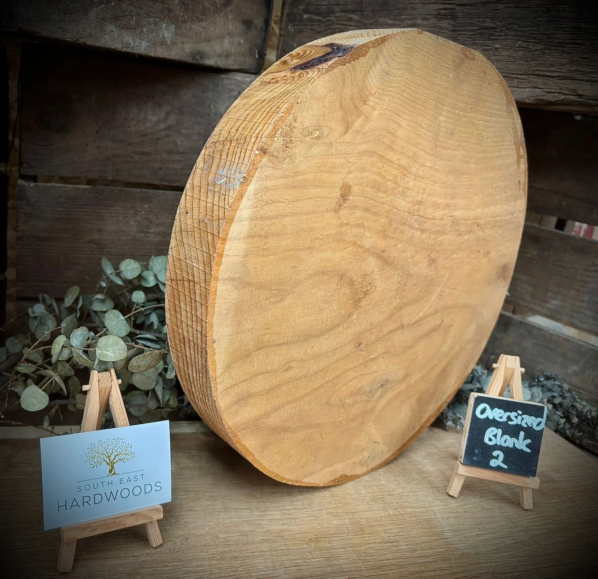 Oversized blank 2 Cedar