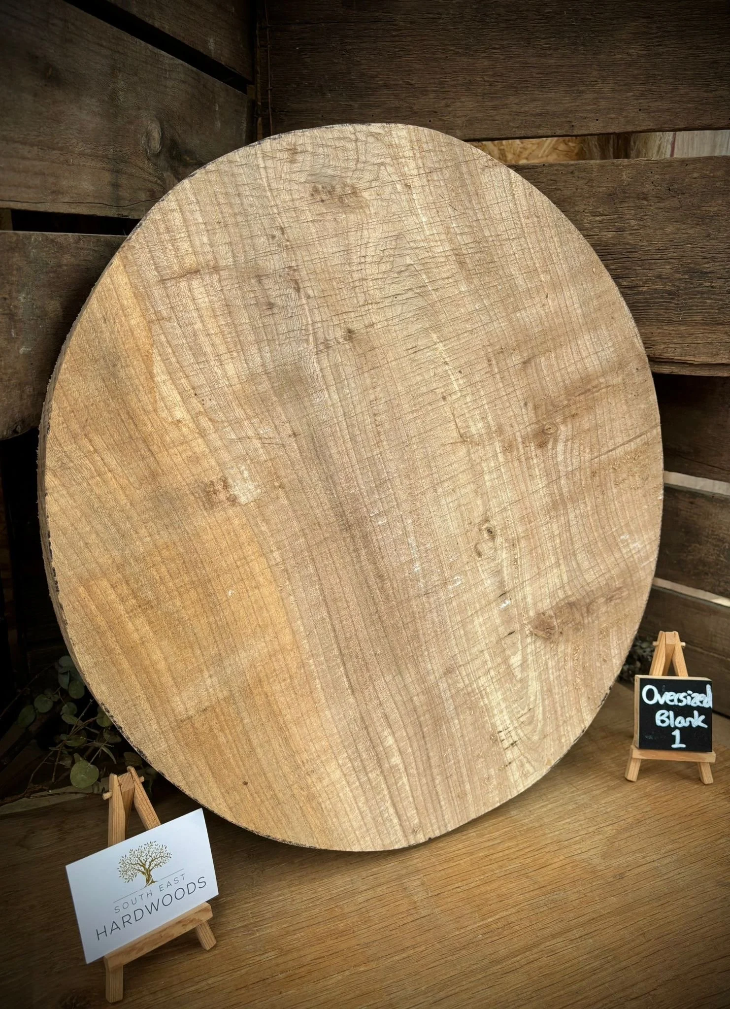Oversized blank 1 Elm