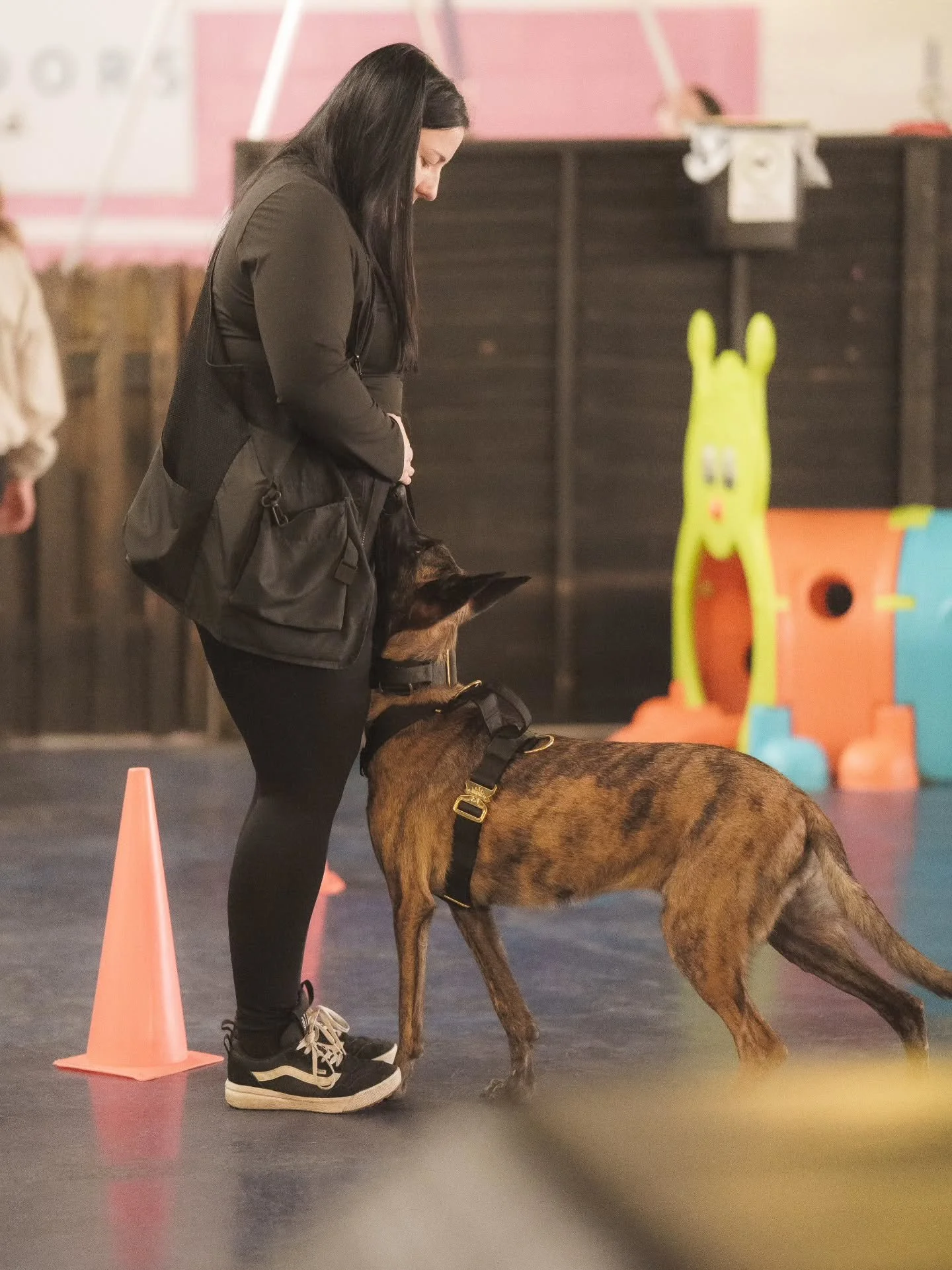 The devil couldn't reach me so he sent me my soul dog that I'll have to breathe without one day 🖤
⚜️ Regal Dog - The Luxury Dog Brand ⚜️
What am I wearing?
Collar: 5cm Black Gold Series Collar
Harness: Black Gold Series Harness
Use code Xelosia2