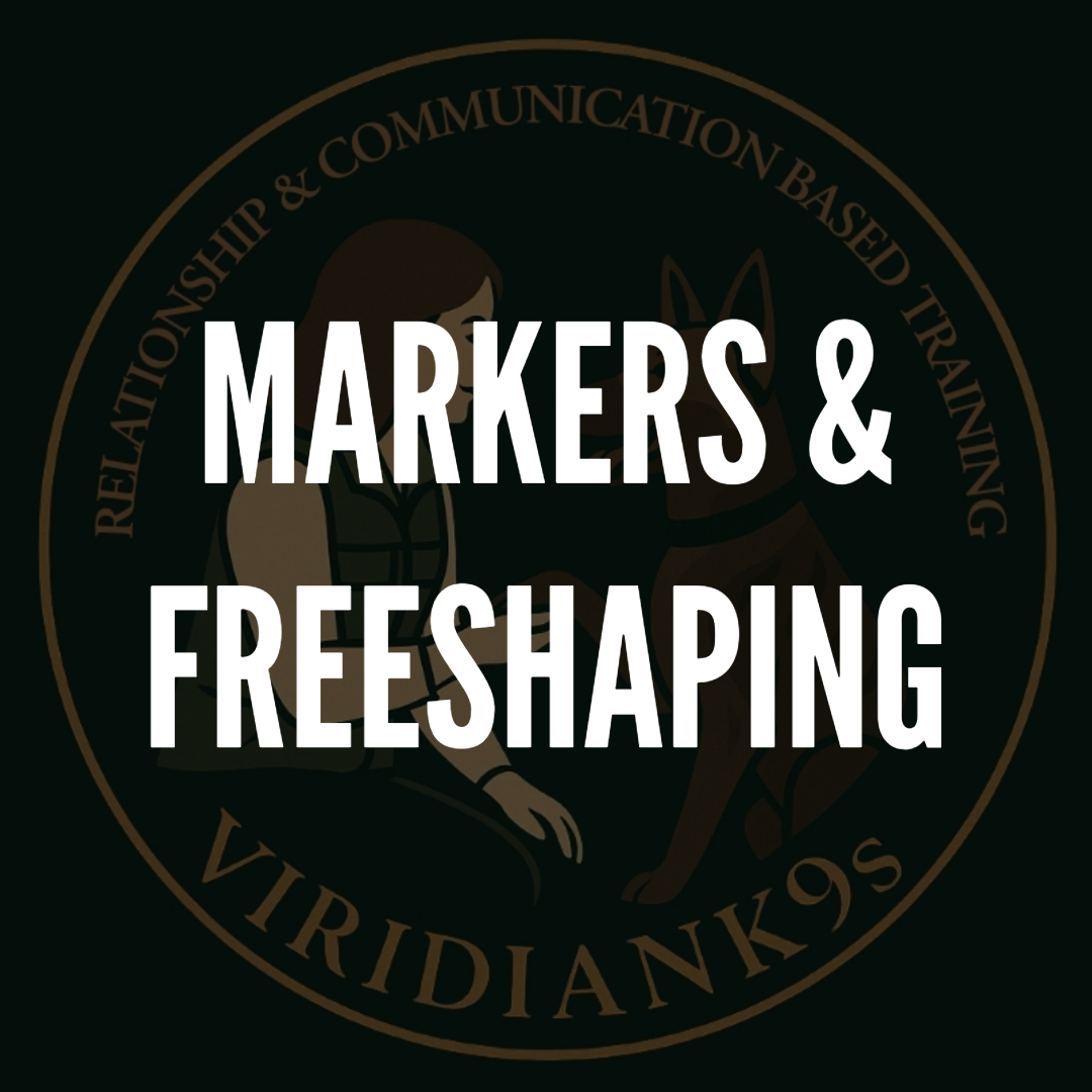 Markers &amp; Free Shaping: Building Clarity, Confidence, and Connection