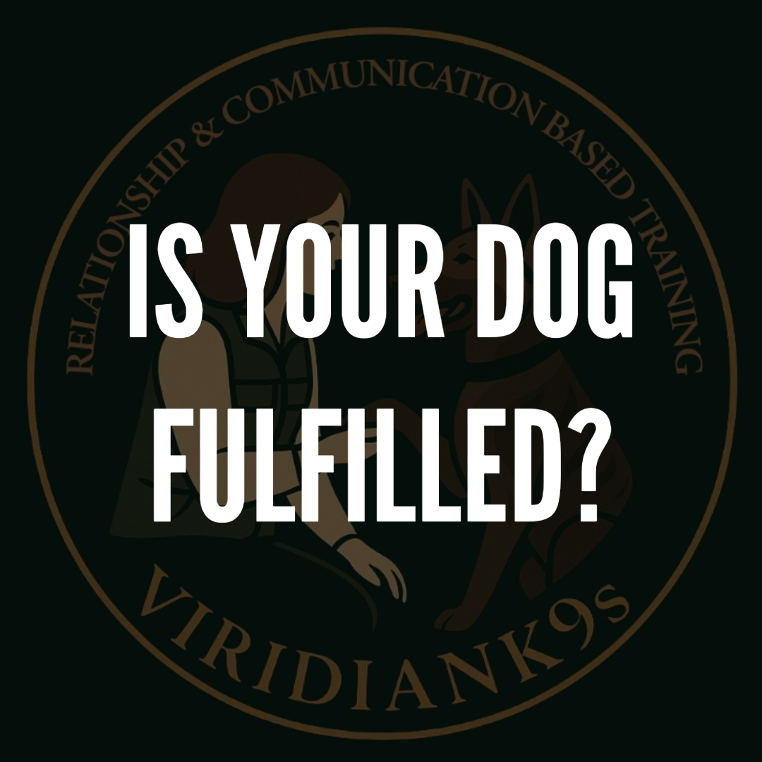 IS YOUR DOG FULFILLED?